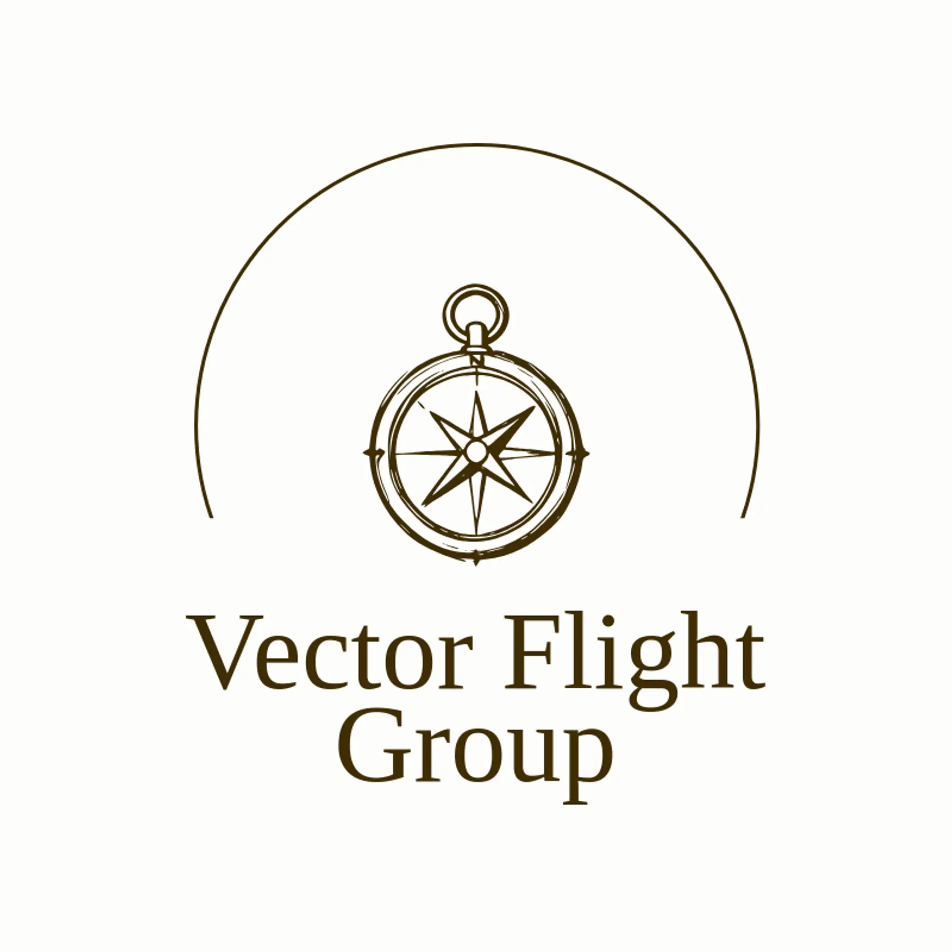Vector Flight Group logo for air force