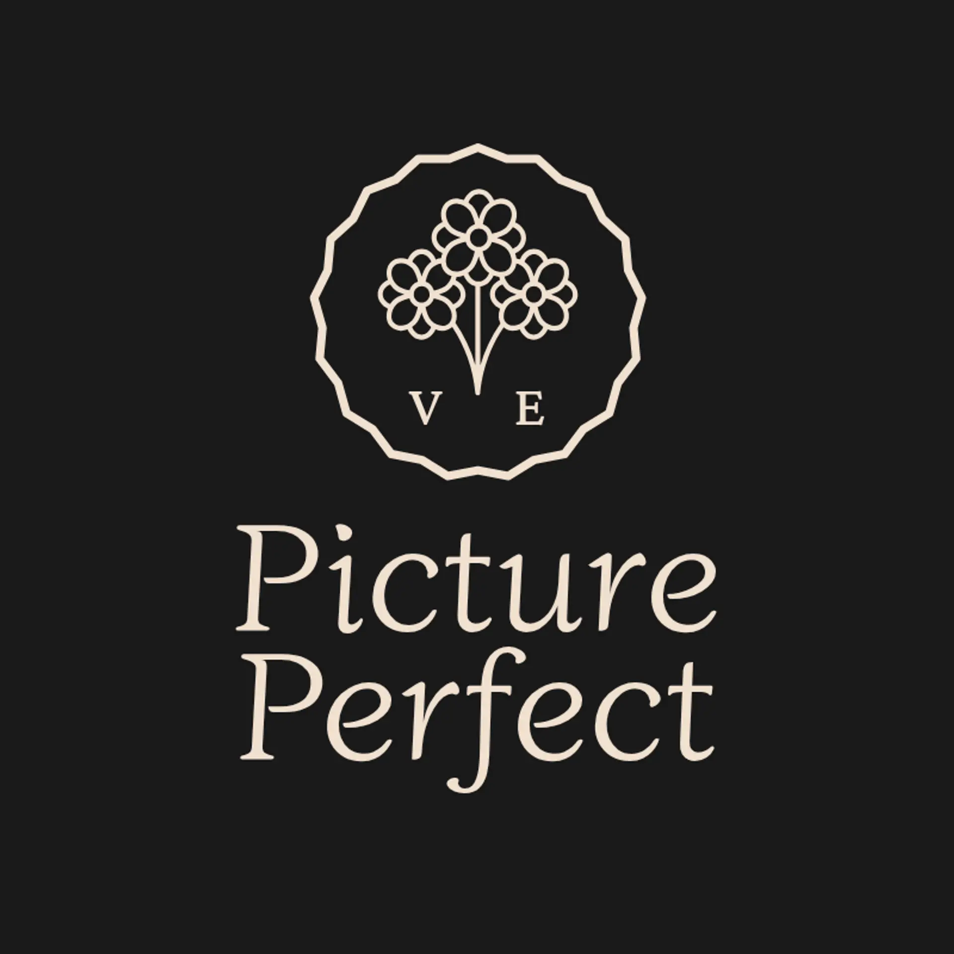 Picture Perfect logo for best photography