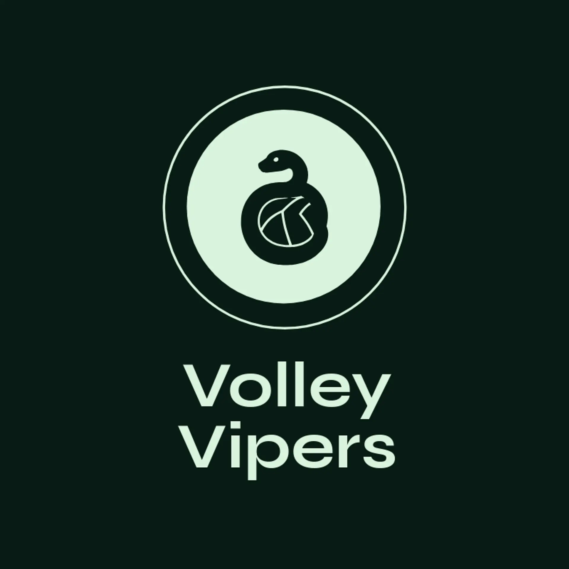 Volley Vipers logo for volleyball