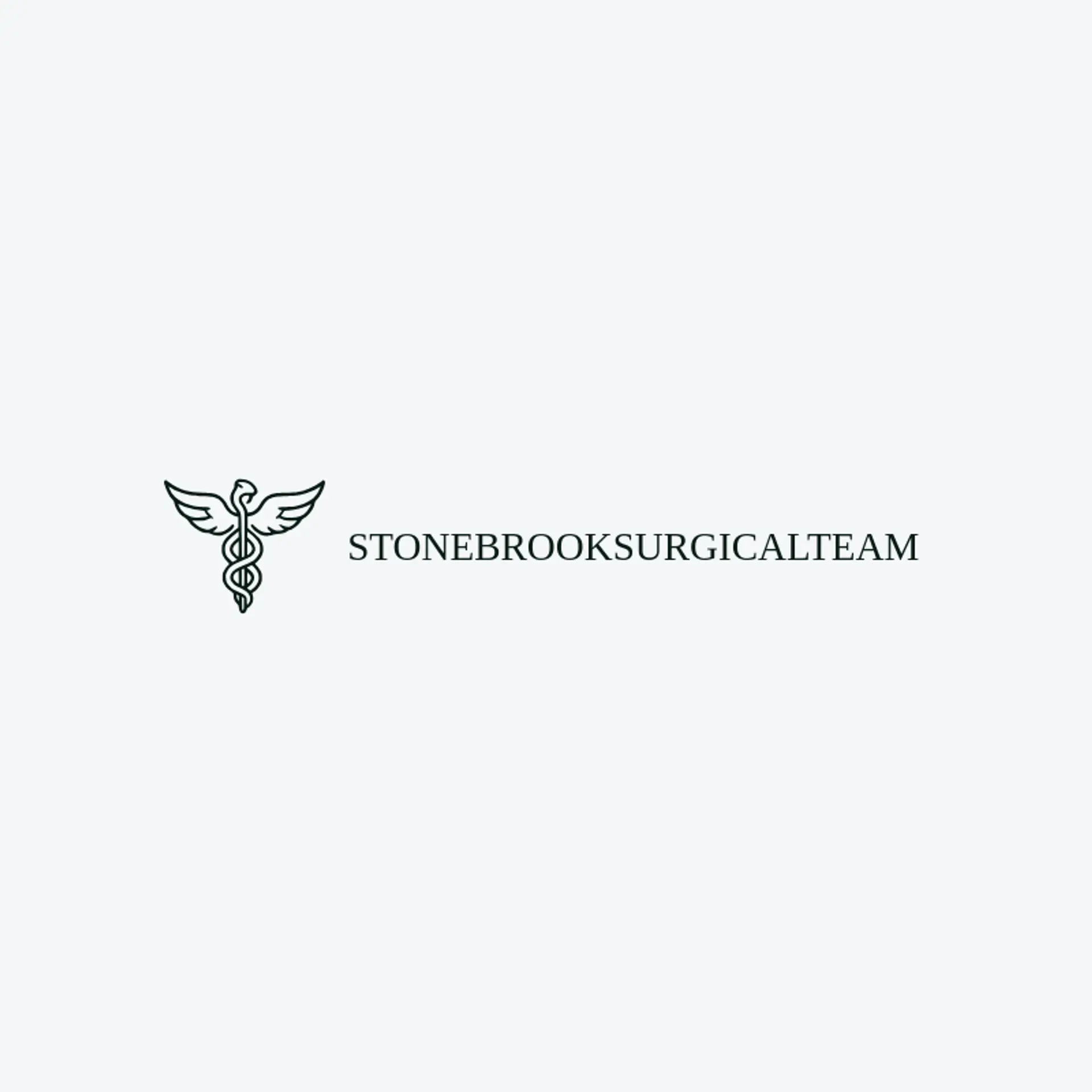 Stonebrook Surgical Team logo for surgery