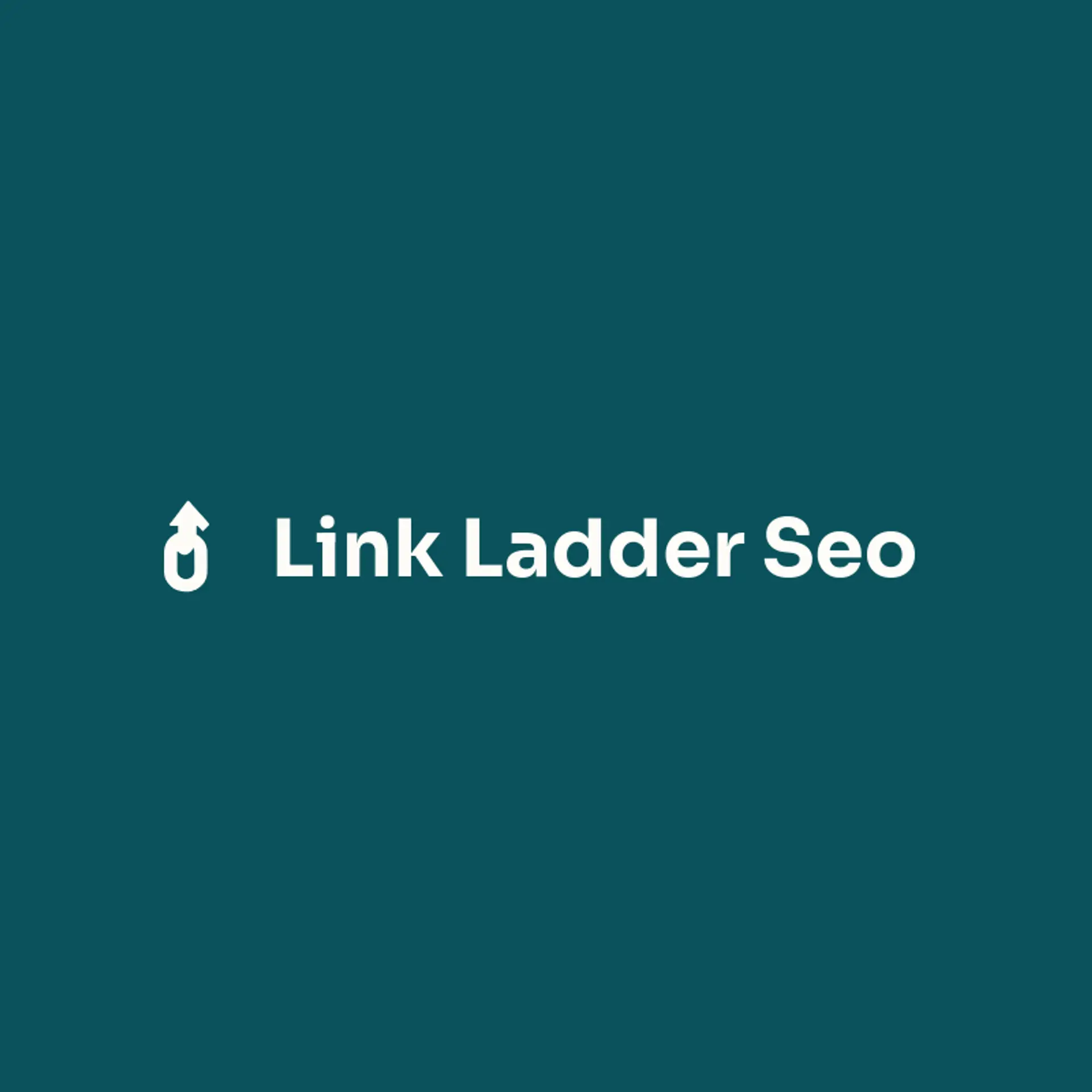 Link Ladder SEO logo for seo