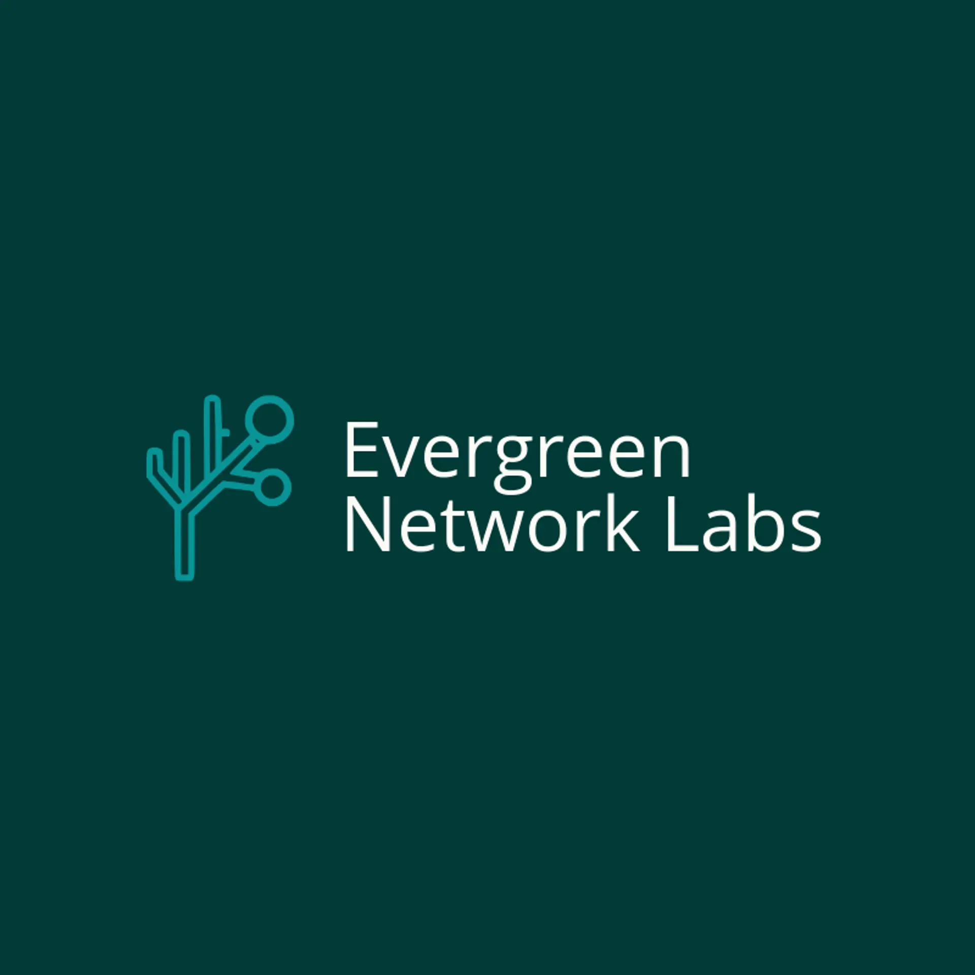 Evergreen Network Labs logo for cyber