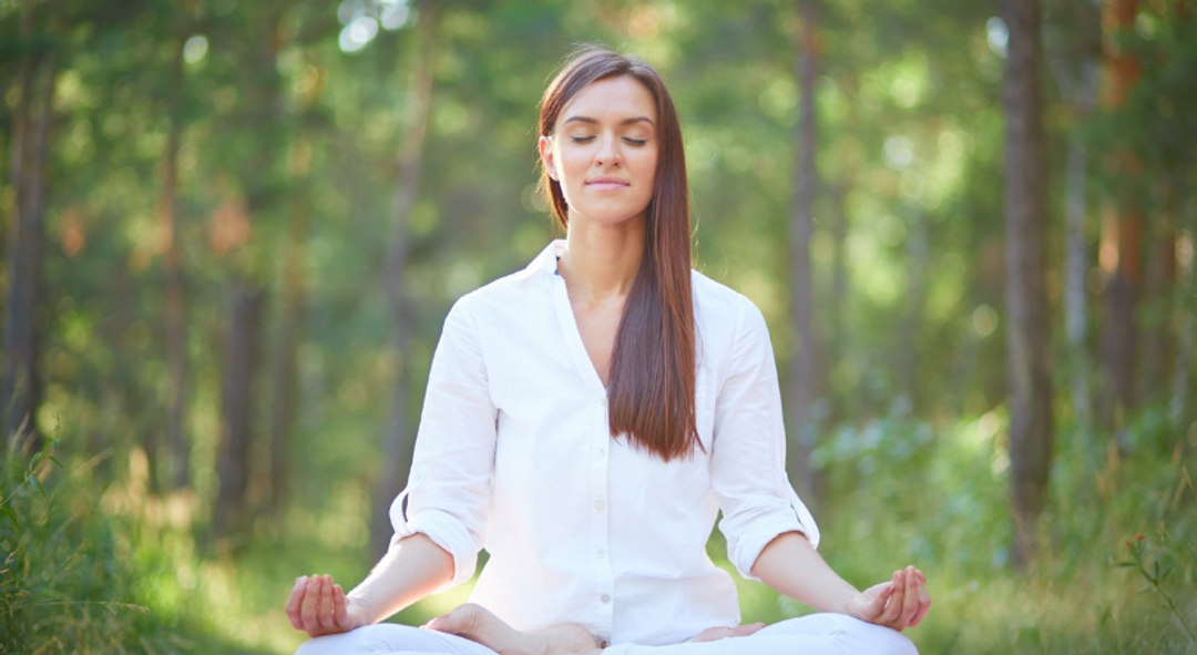 Five Vines Therapy and Consulting: Helping People Lead Meaningful Lives