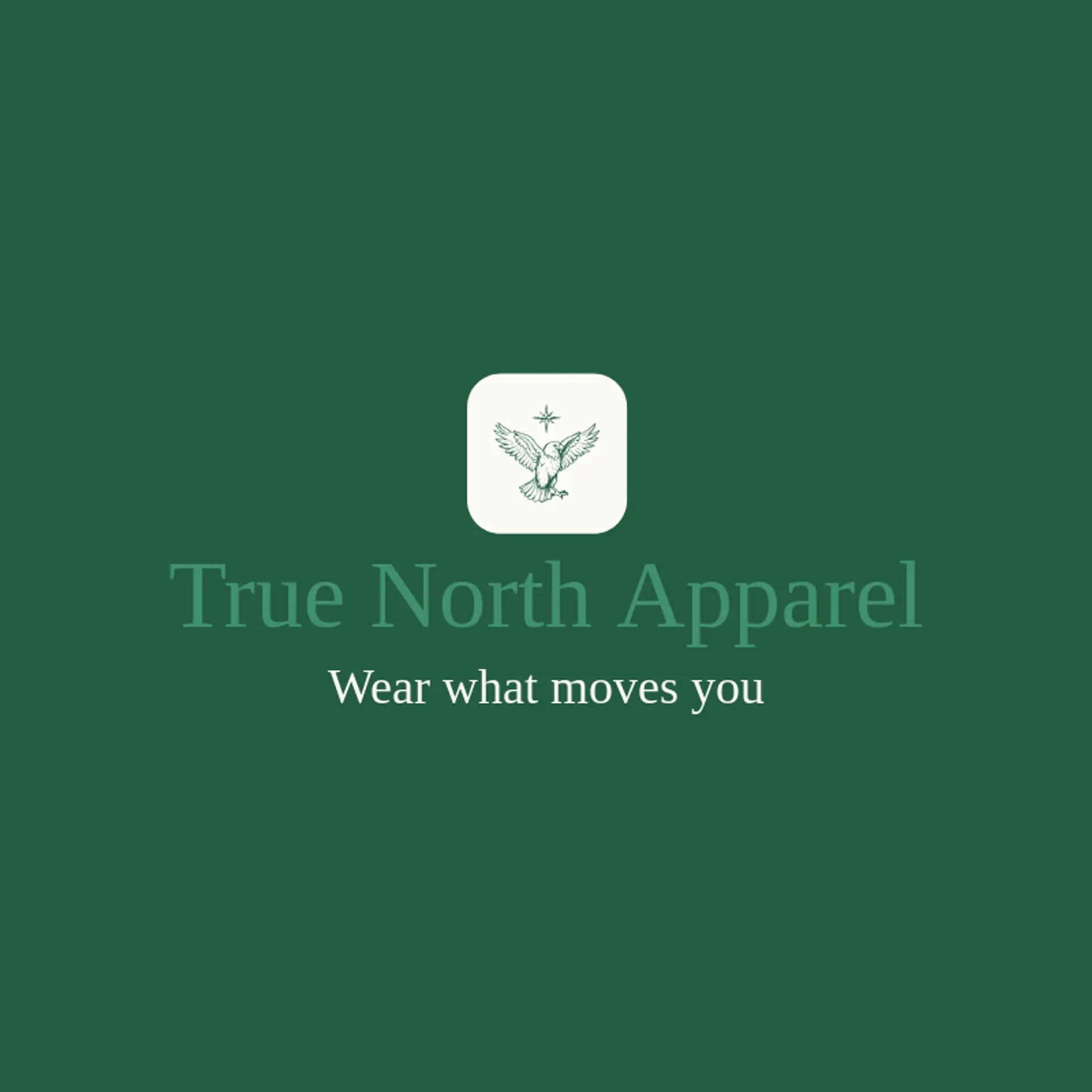 True North Apparel logo for american eagle