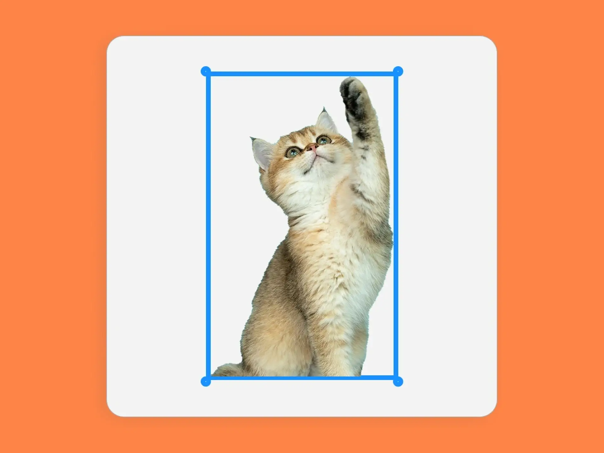  One-Click Removal