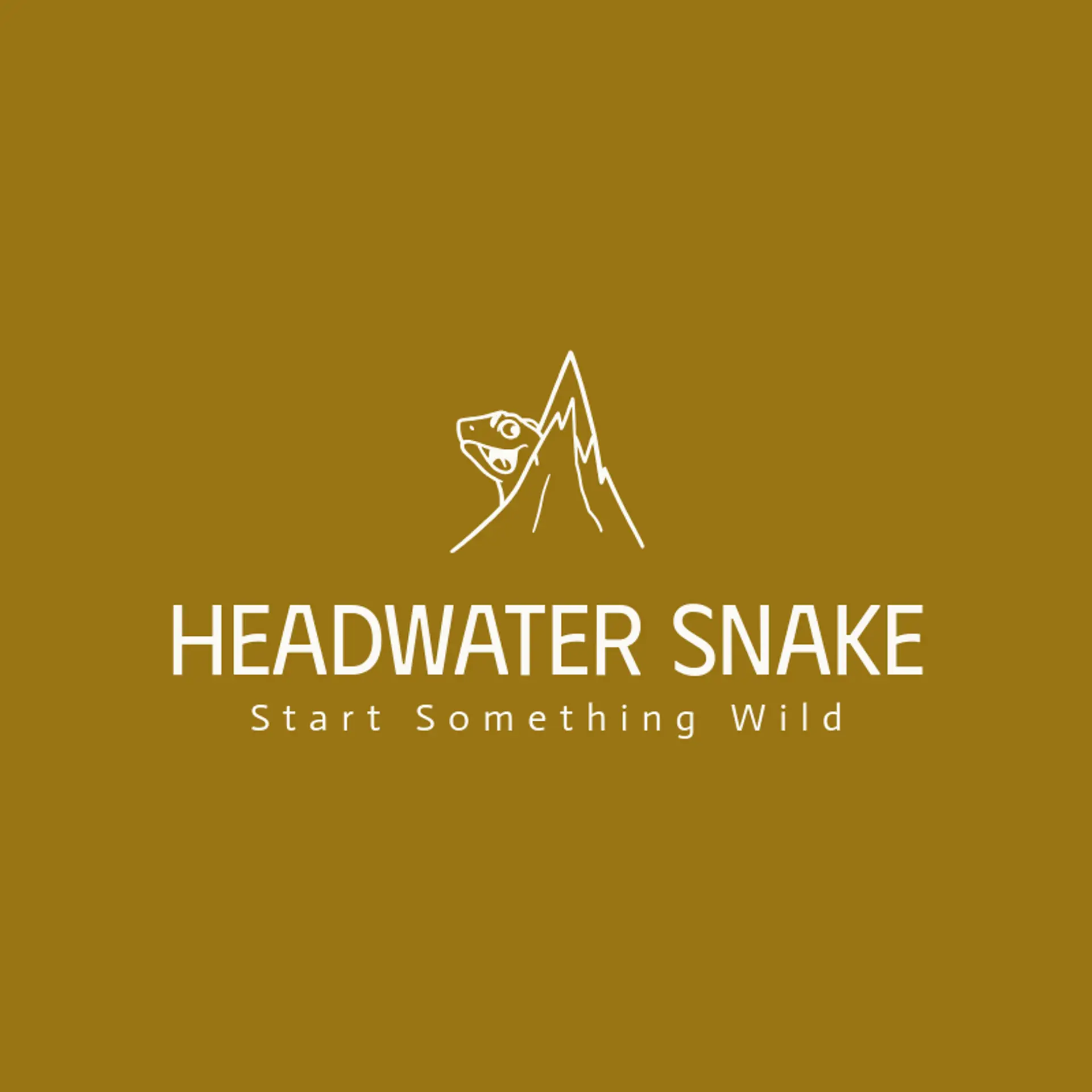 Headwater Snake logo for snake