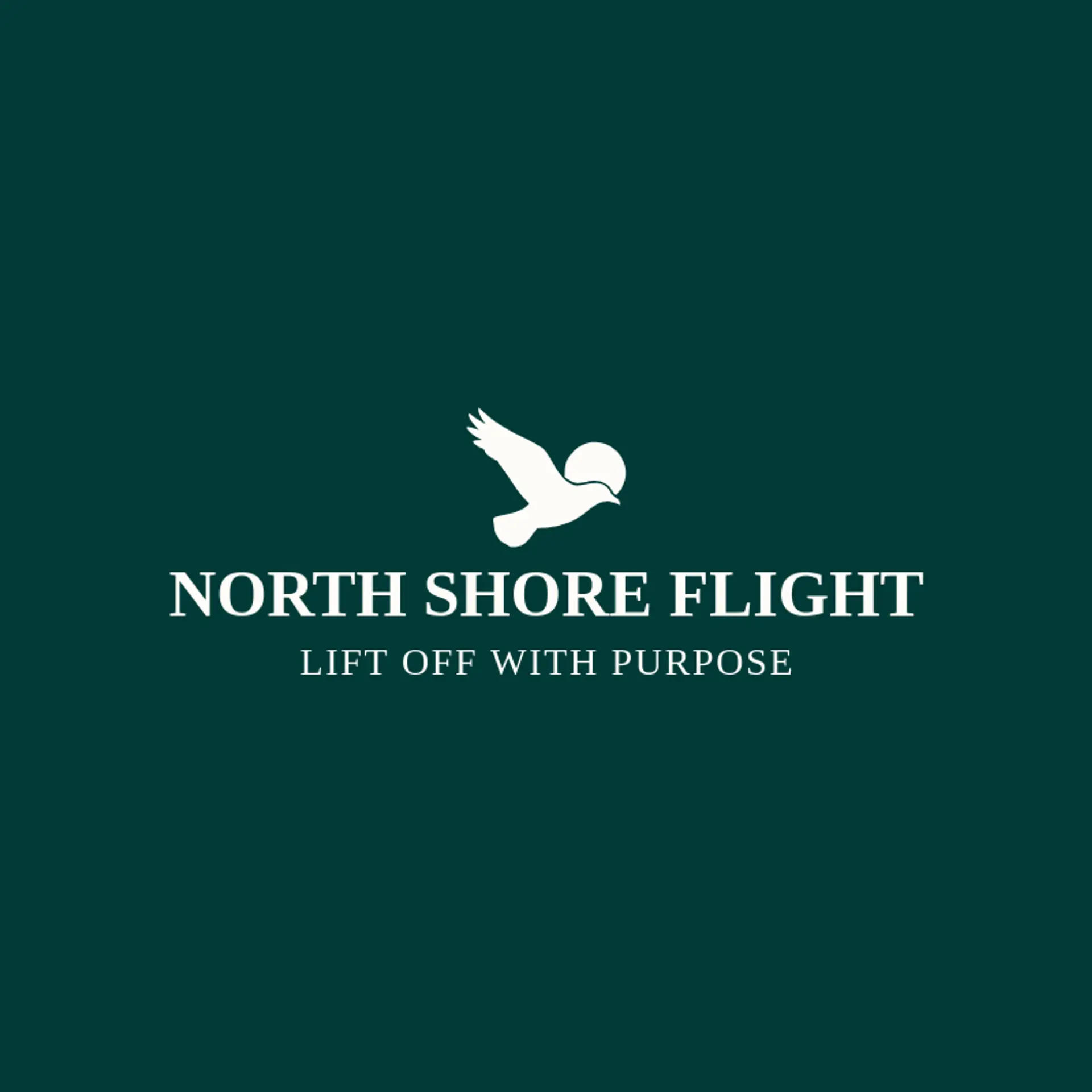 North Shore Flight logo for seagull
