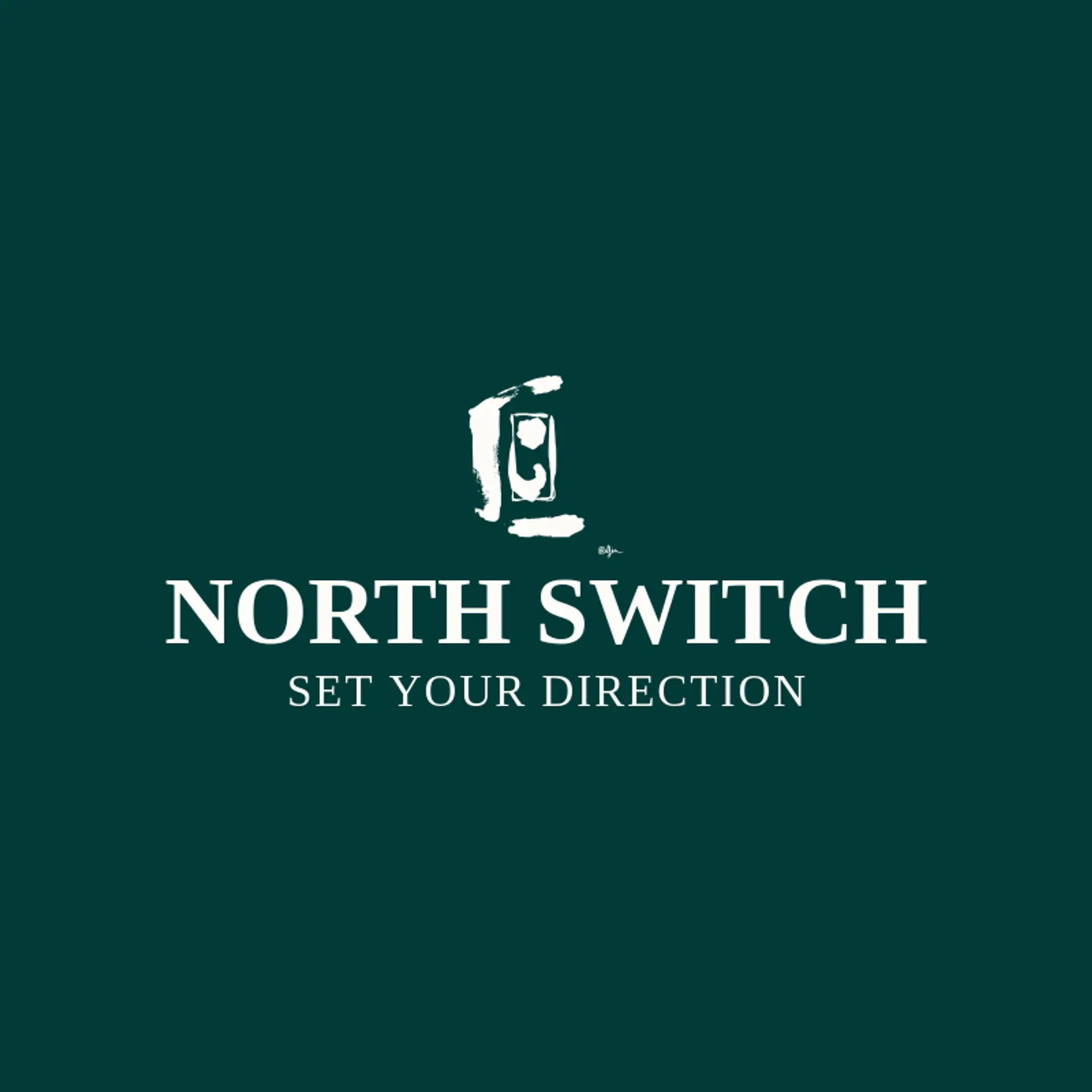 North Switch logo for switch