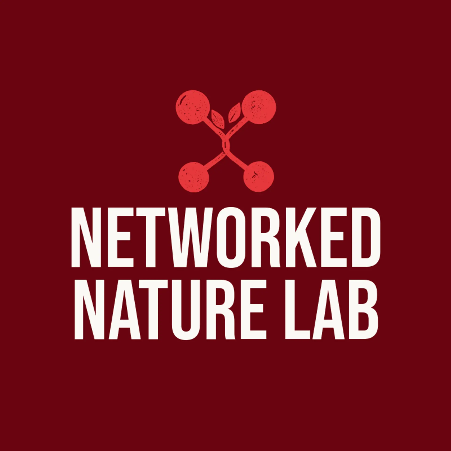 Networked Nature Lab logo for stem