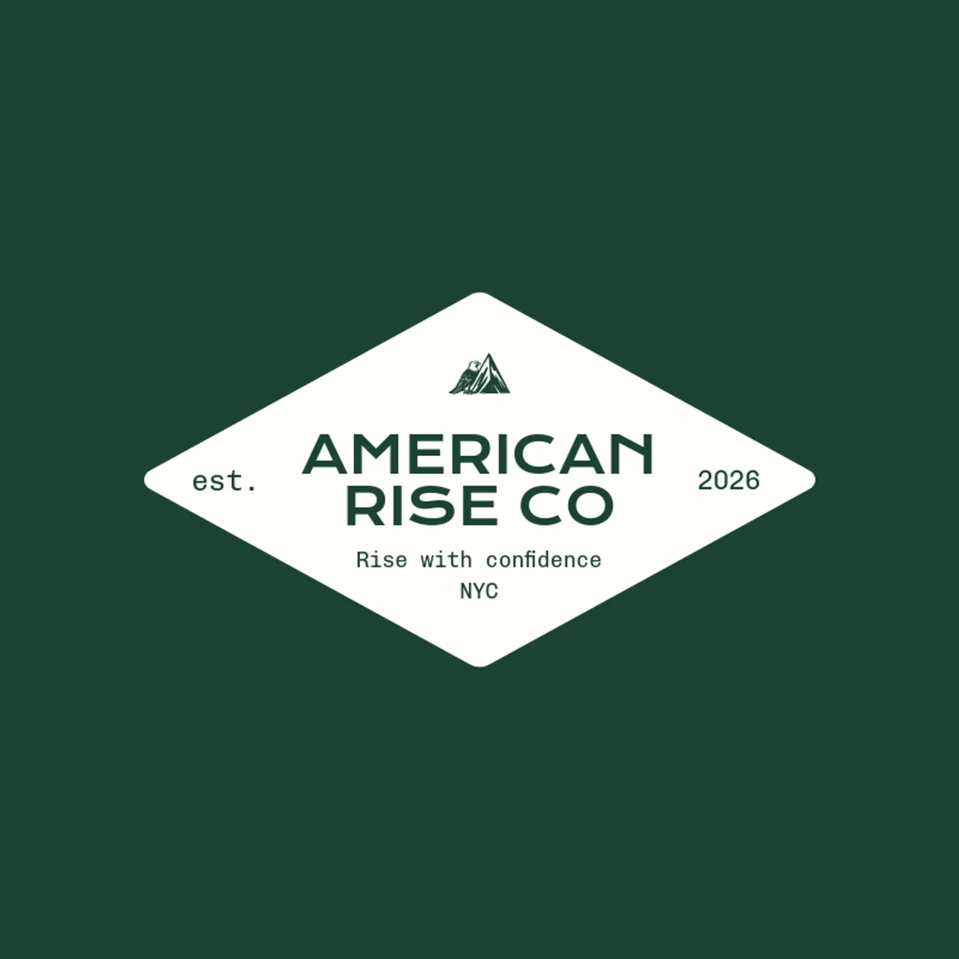 American Rise Co logo for american