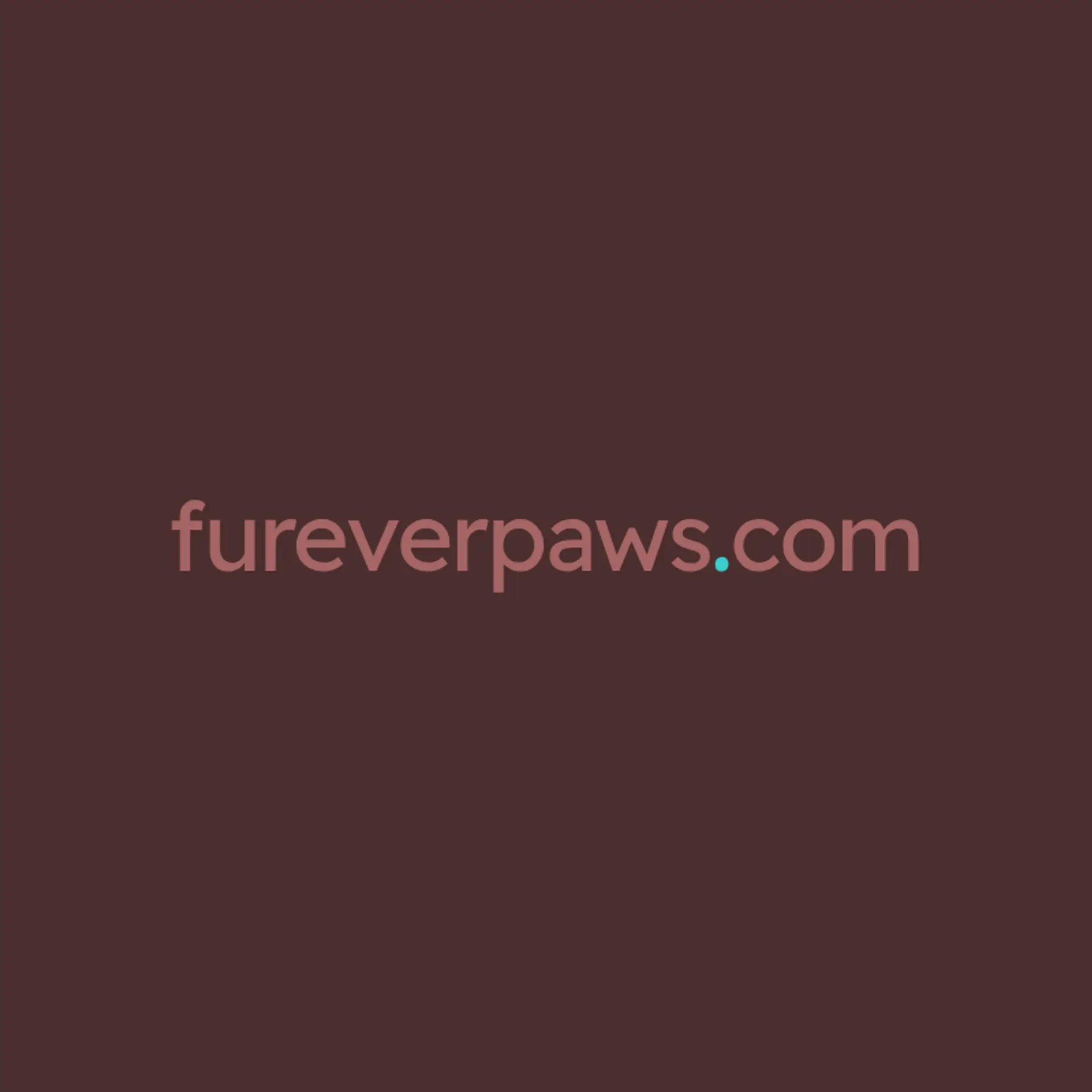 Puppy Love Lounge logo for dog daycare training spa