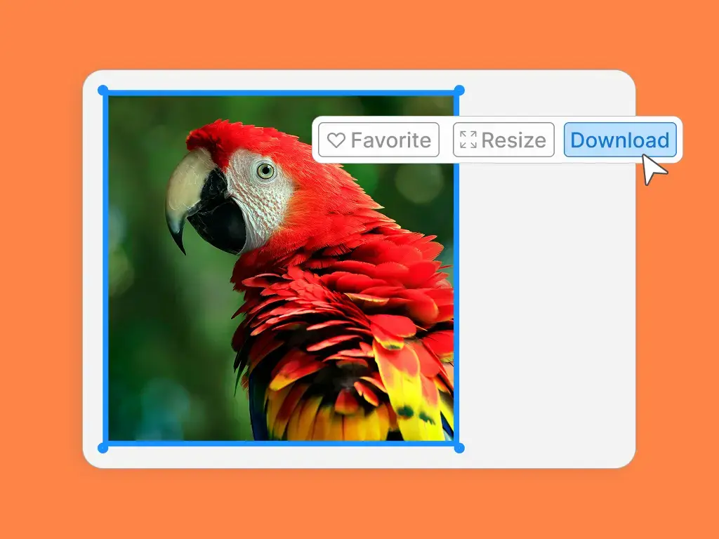Upload your WebP image