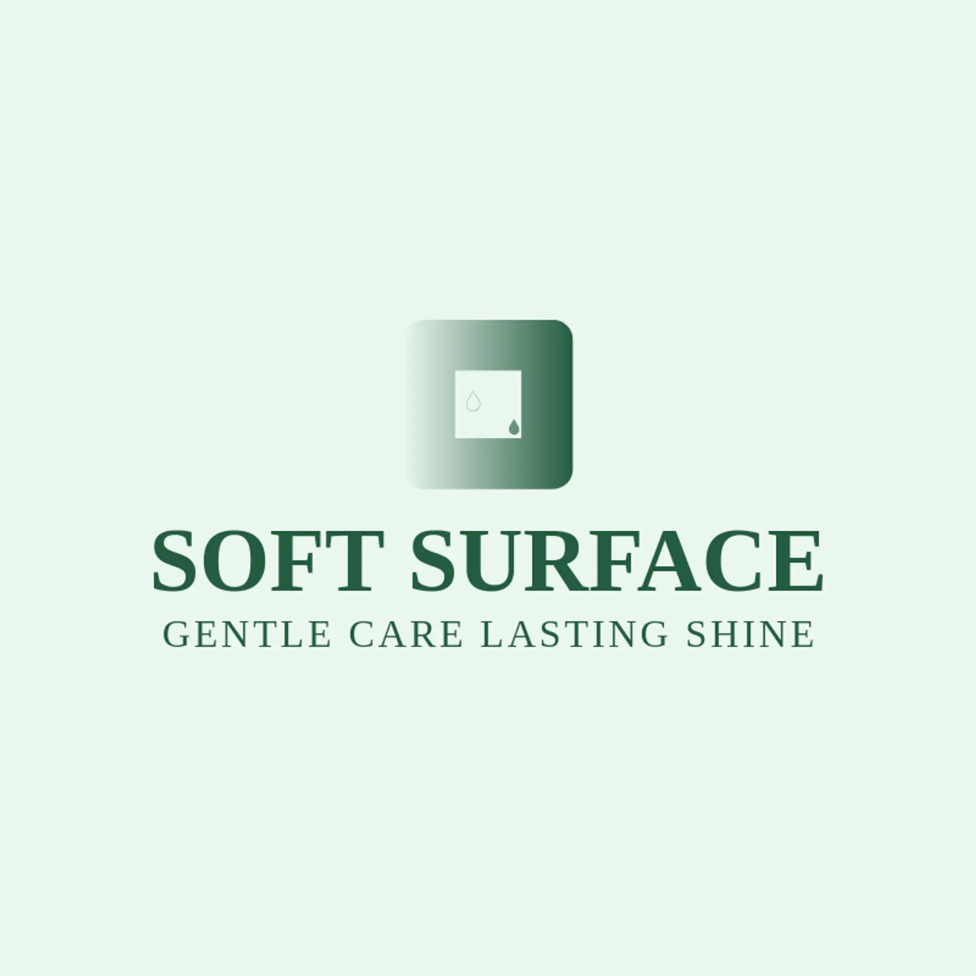 Soft Surface logo for auto detailing