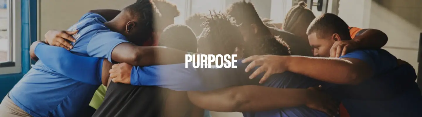 Under Armour brand pillar