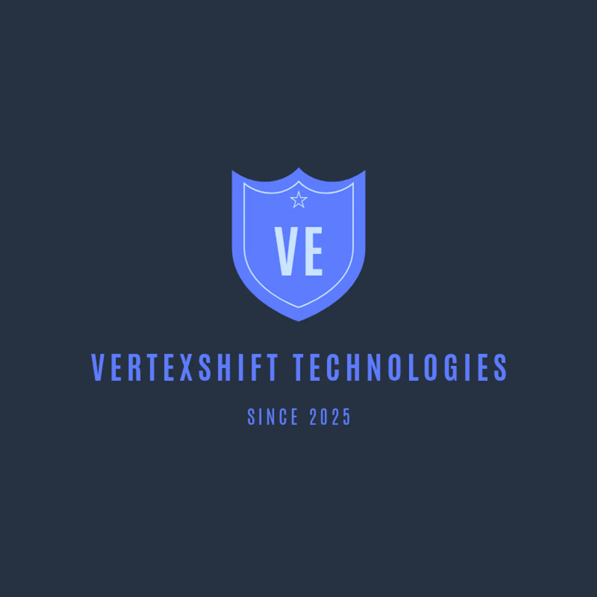 Pinnacle Metrics logo for tech company