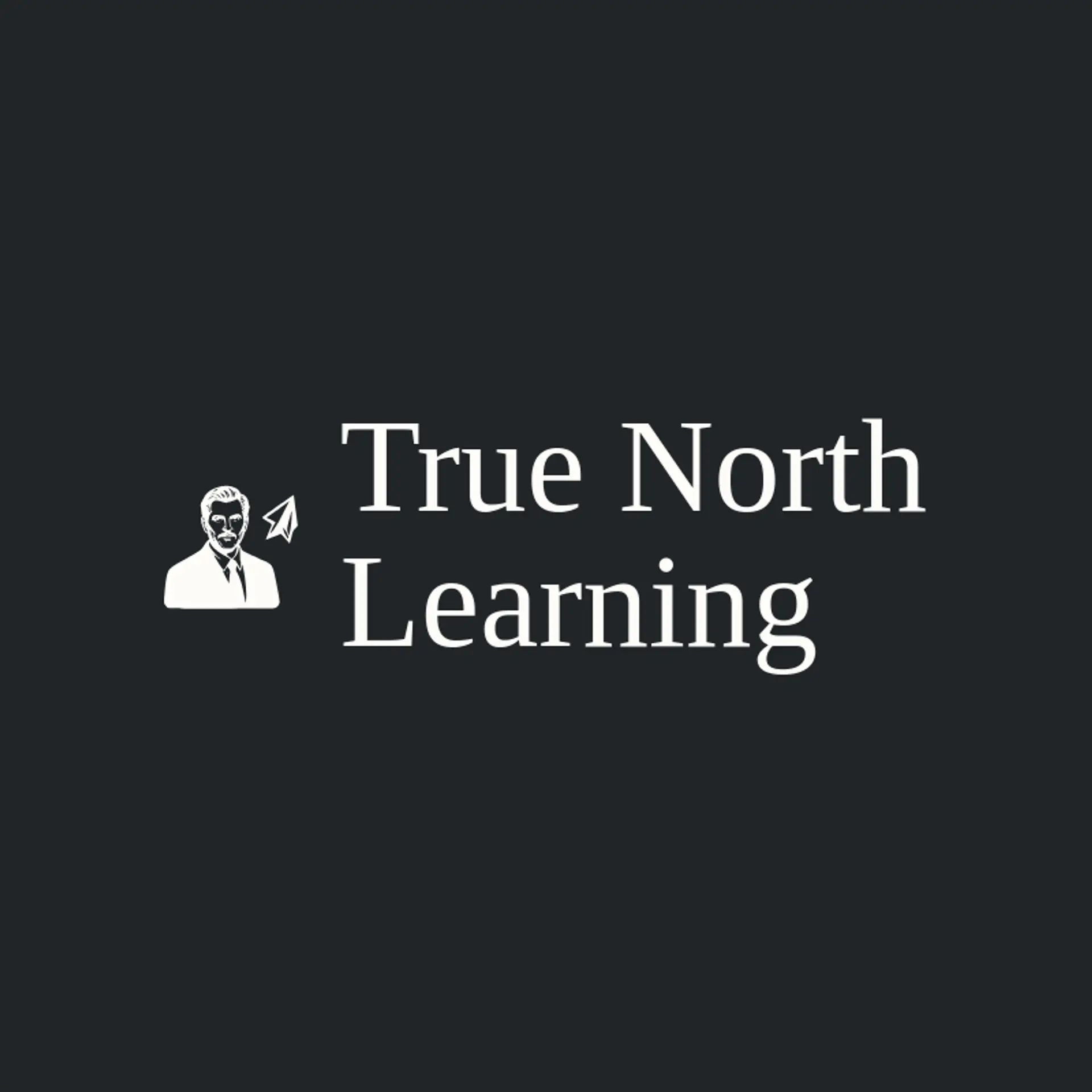 True North Learning logo for mentor