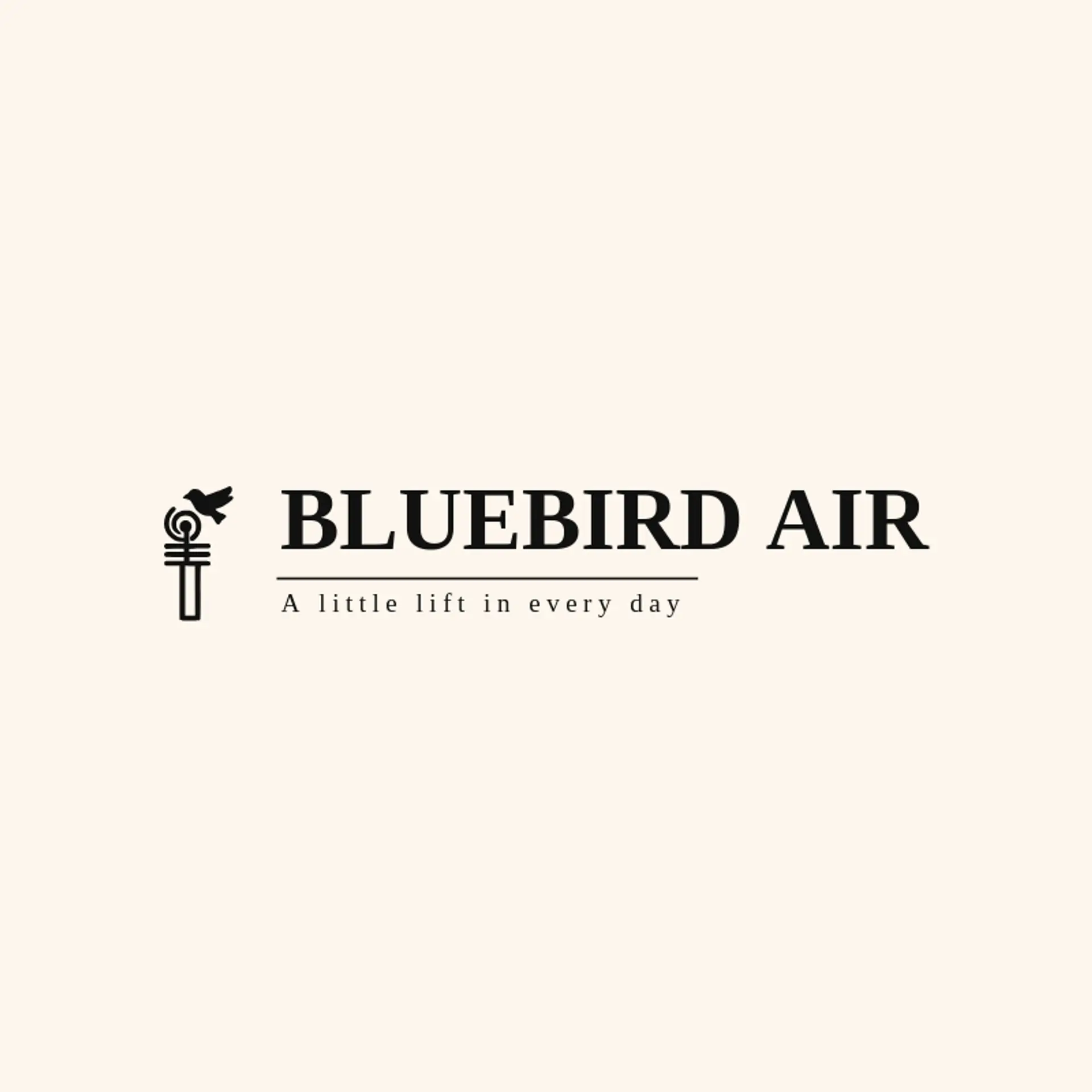 Bluebird Air logo for radio station
