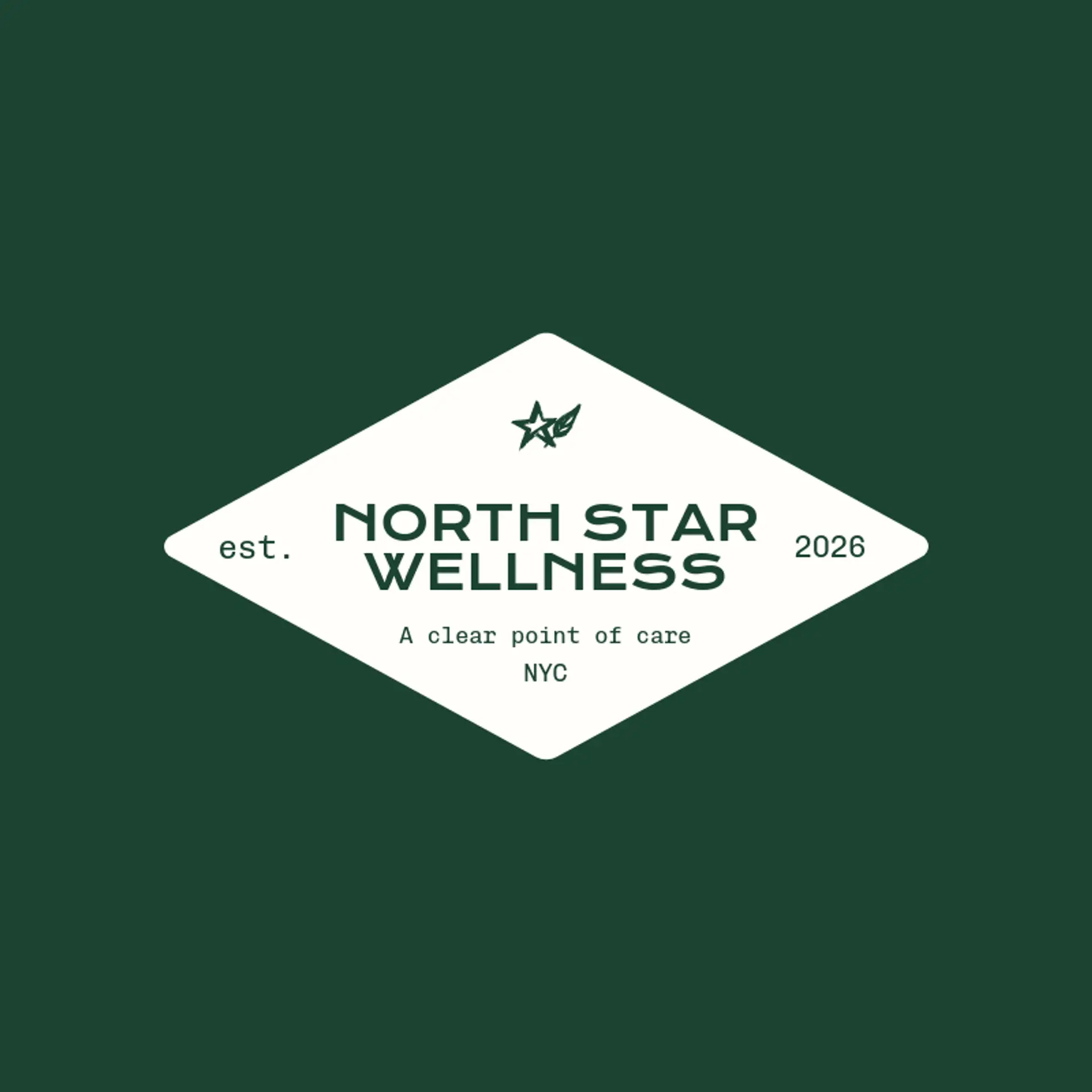 North Star Wellness logo for mental health