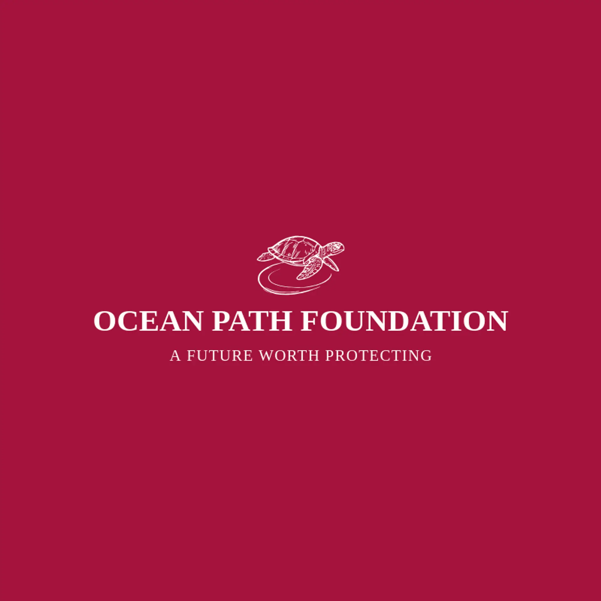 Ocean Path Foundation logo for sea turtle