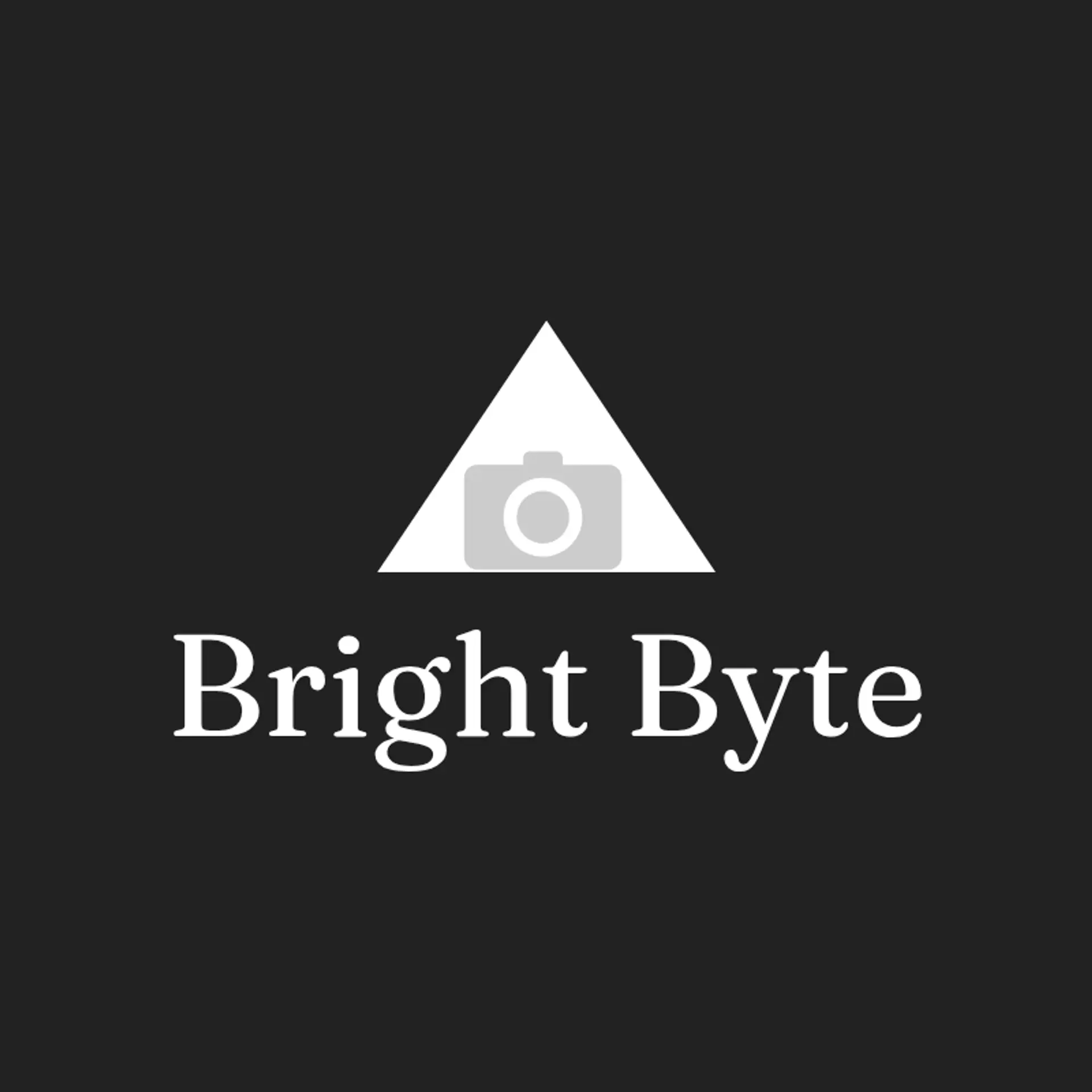Bright Byte logo for best photography