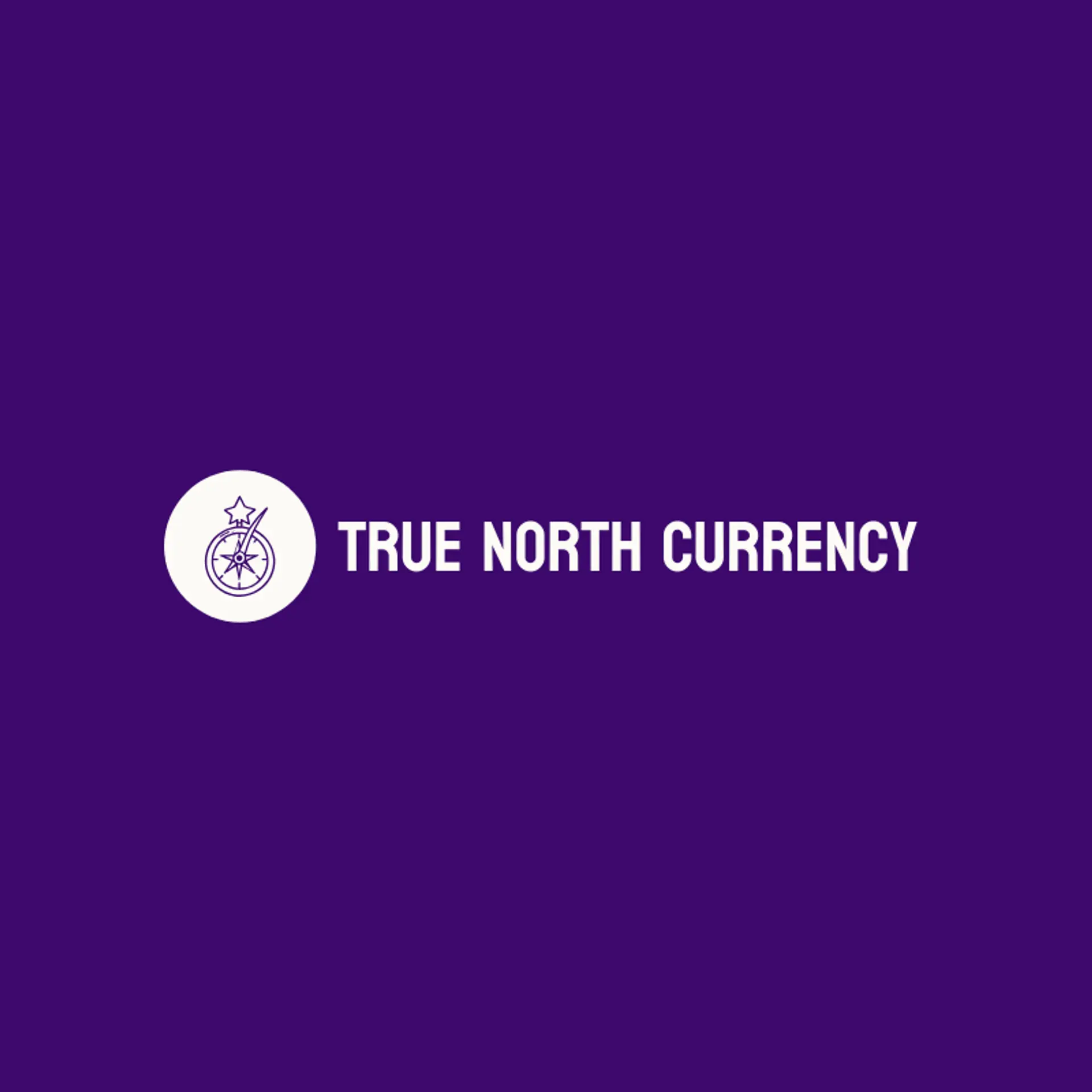 True North Currency logo for forex