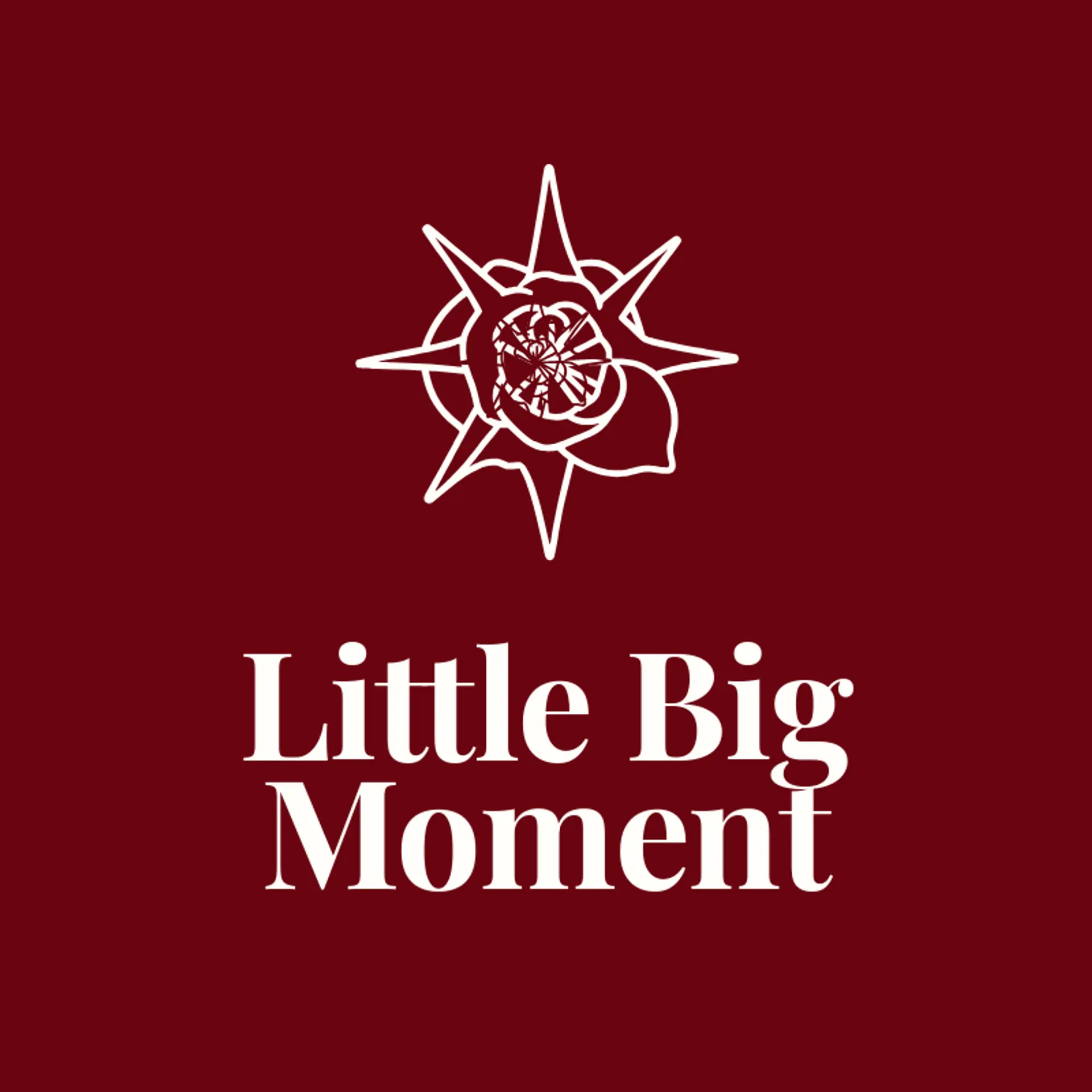 Little Big Moment logo for engagement