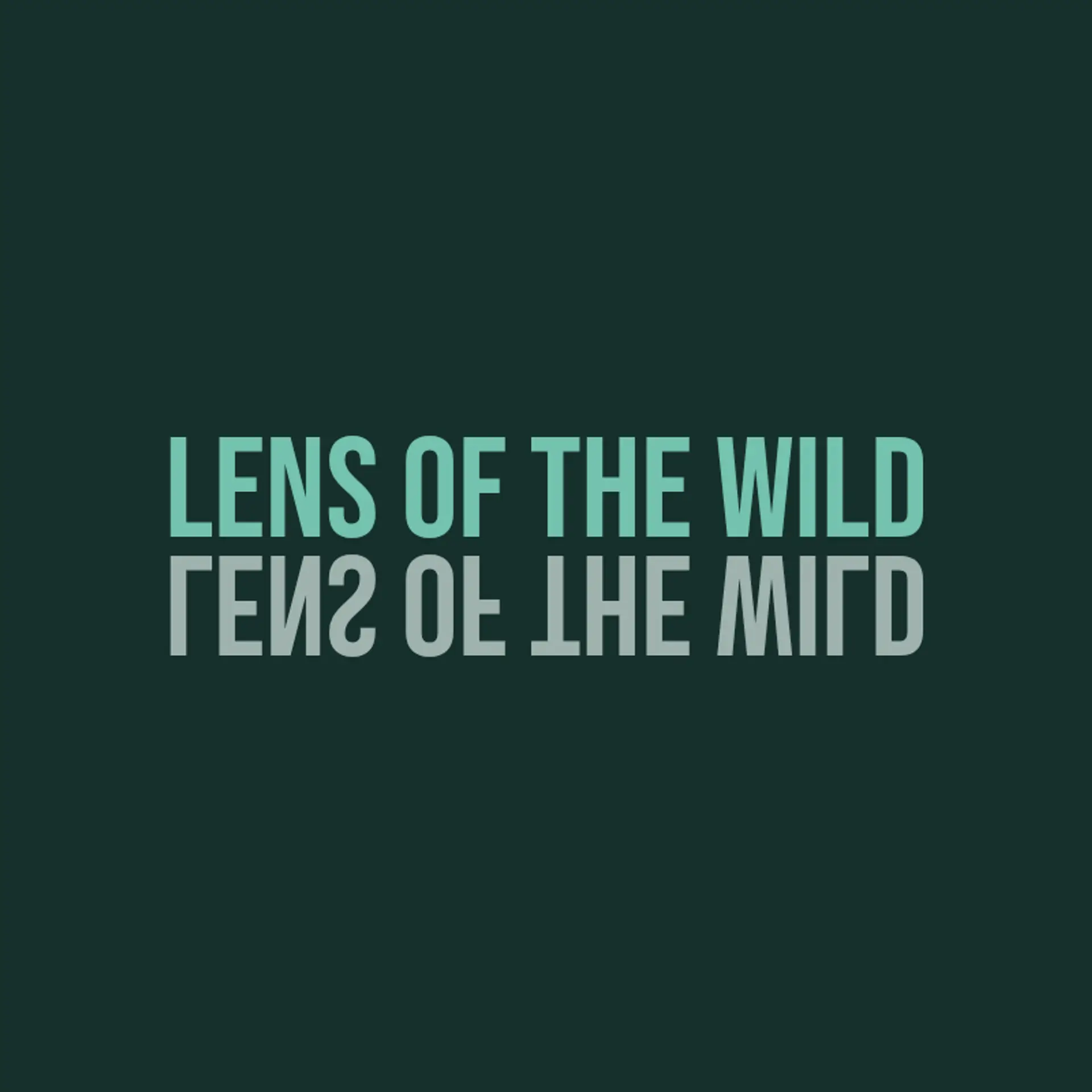 WildFrame Visuals logo for wildlife photography