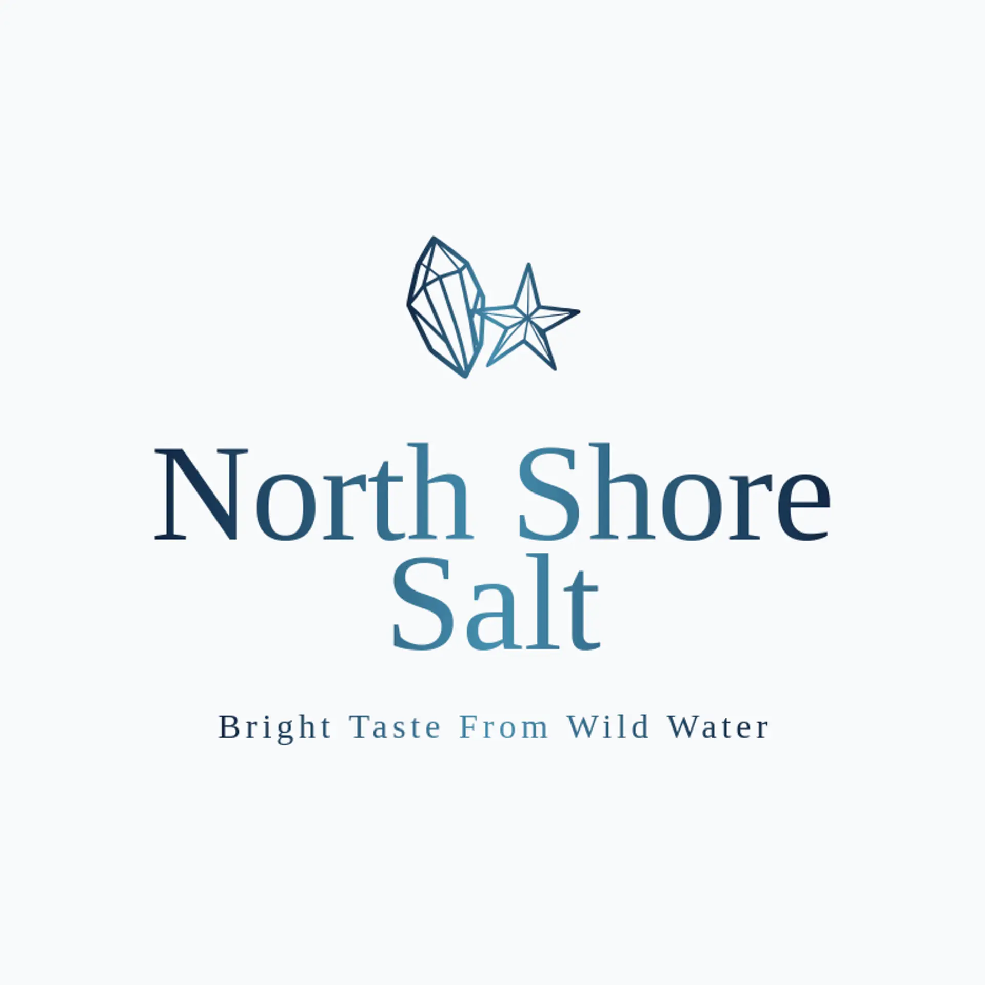 North Shore Salt logo for salt