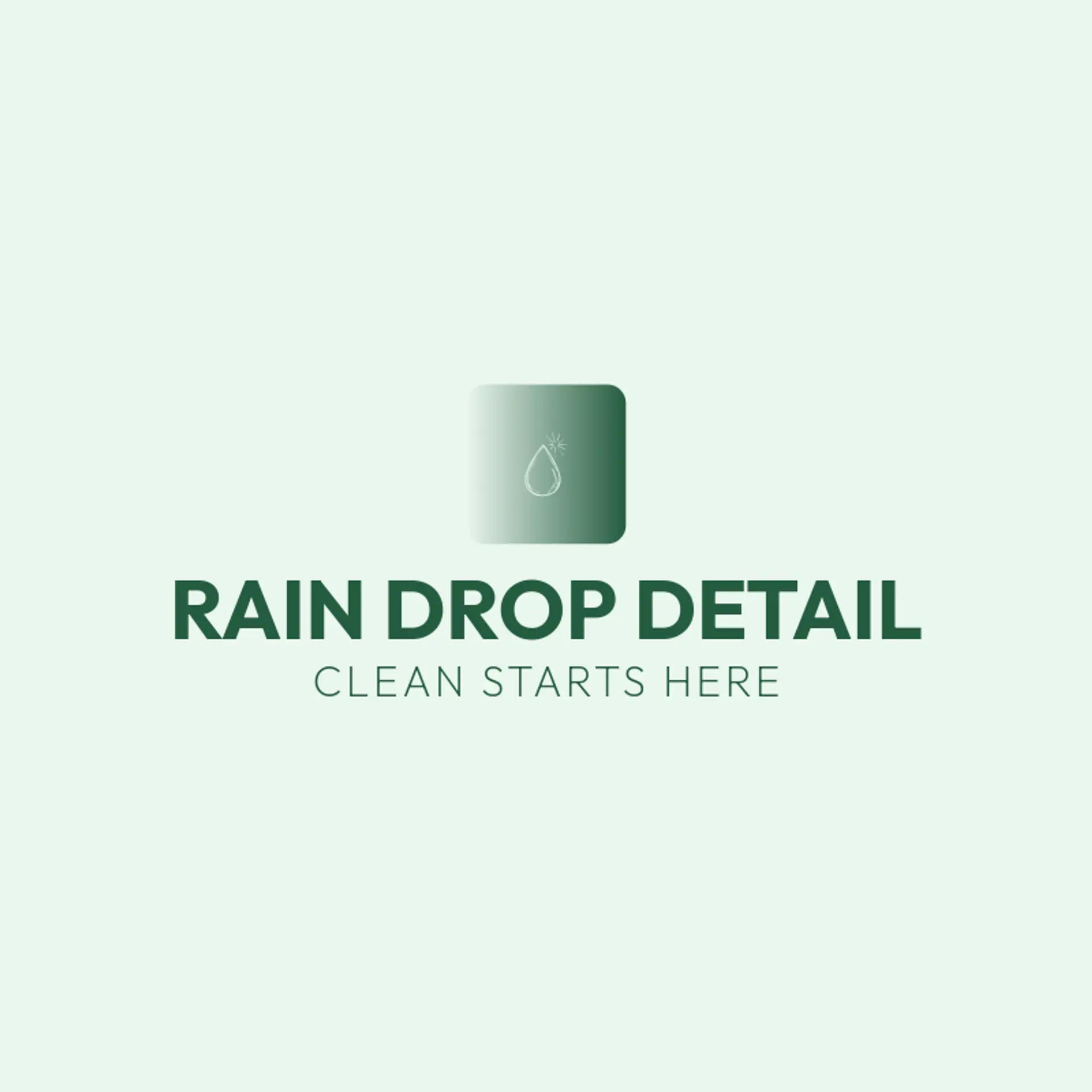 Rain Drop Detail logo for car detailing