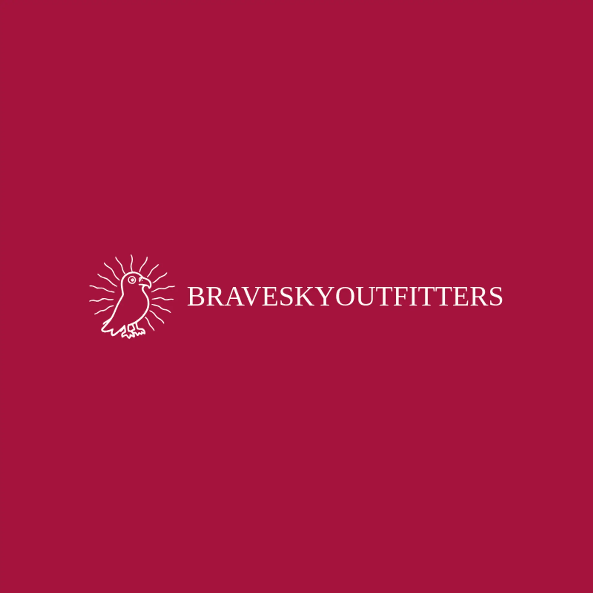 Brave Sky Outfitters logo for bald eagle