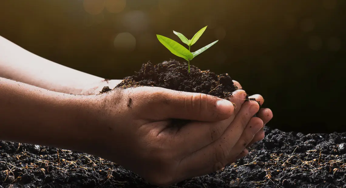 10 Sustainable Business Ideas & 11 Practices For Eco-Success