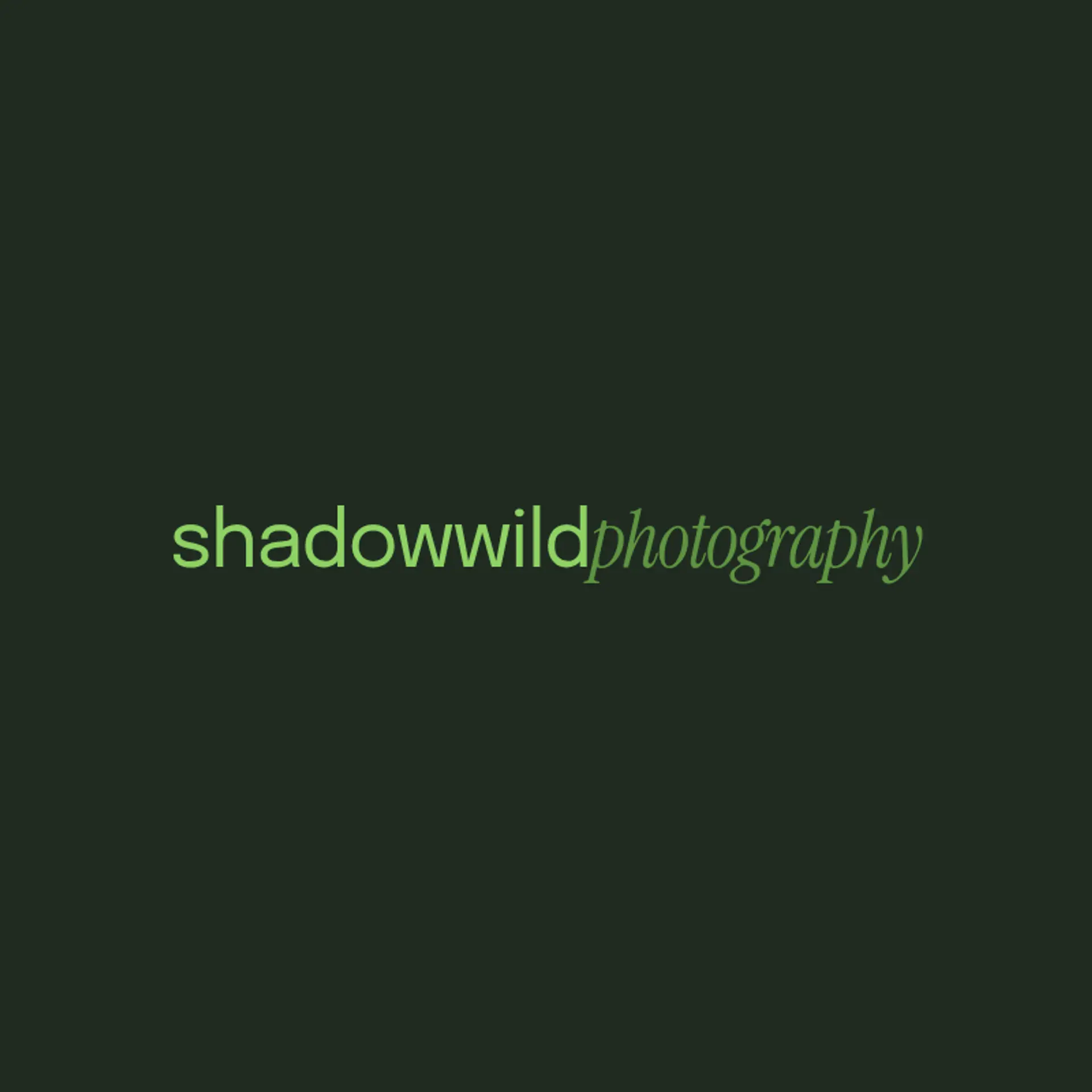 WildLumen logo for wildlife photography