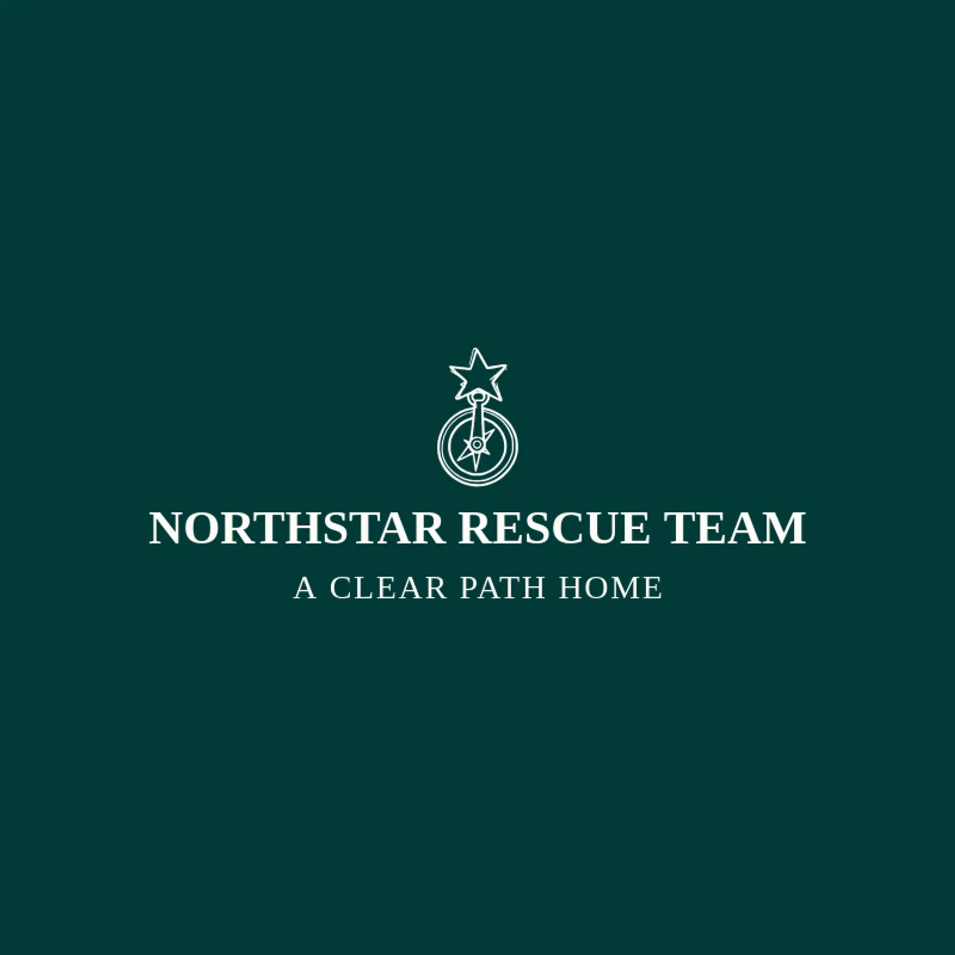 Northstar Rescue Team logo for rescue