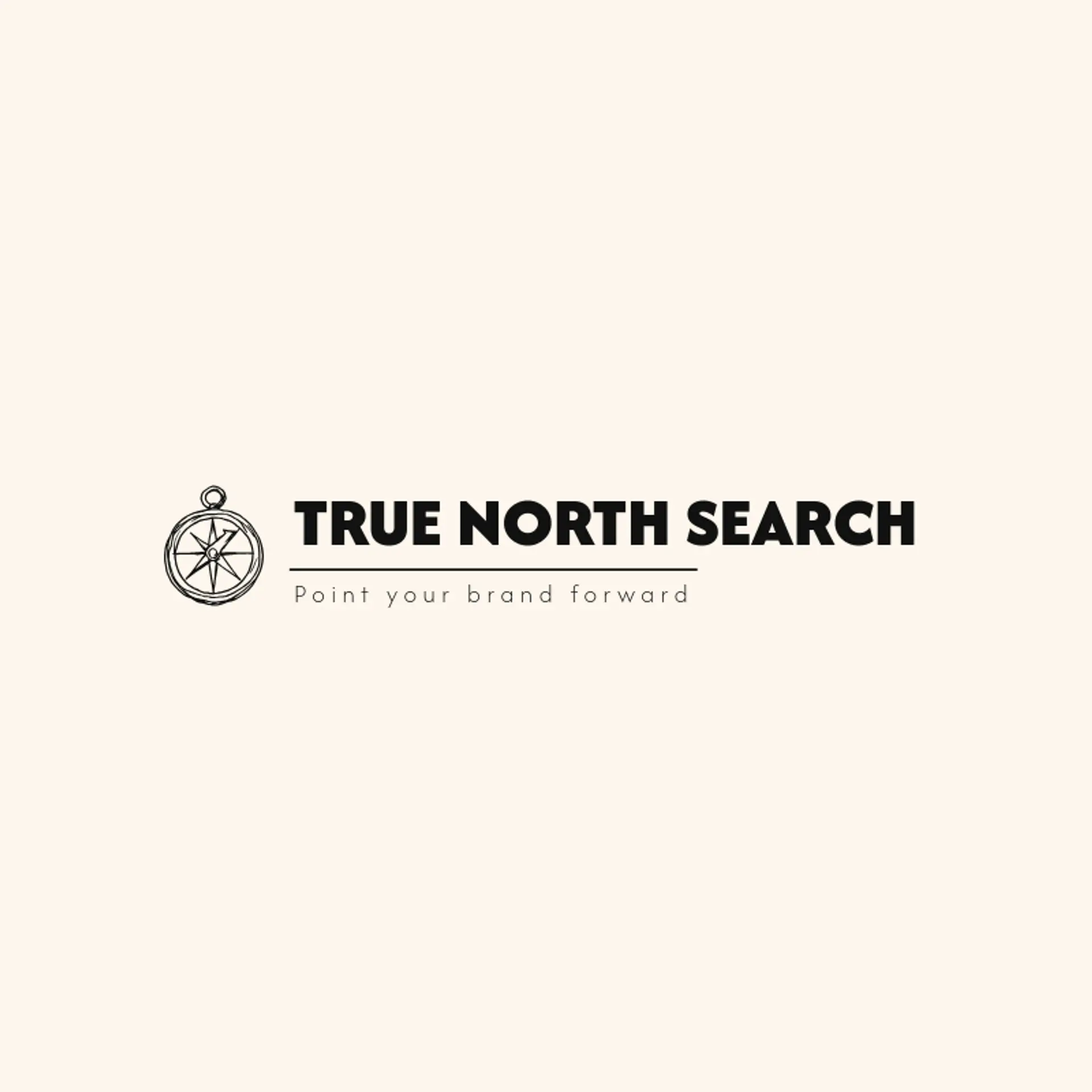 True North Search logo for seo