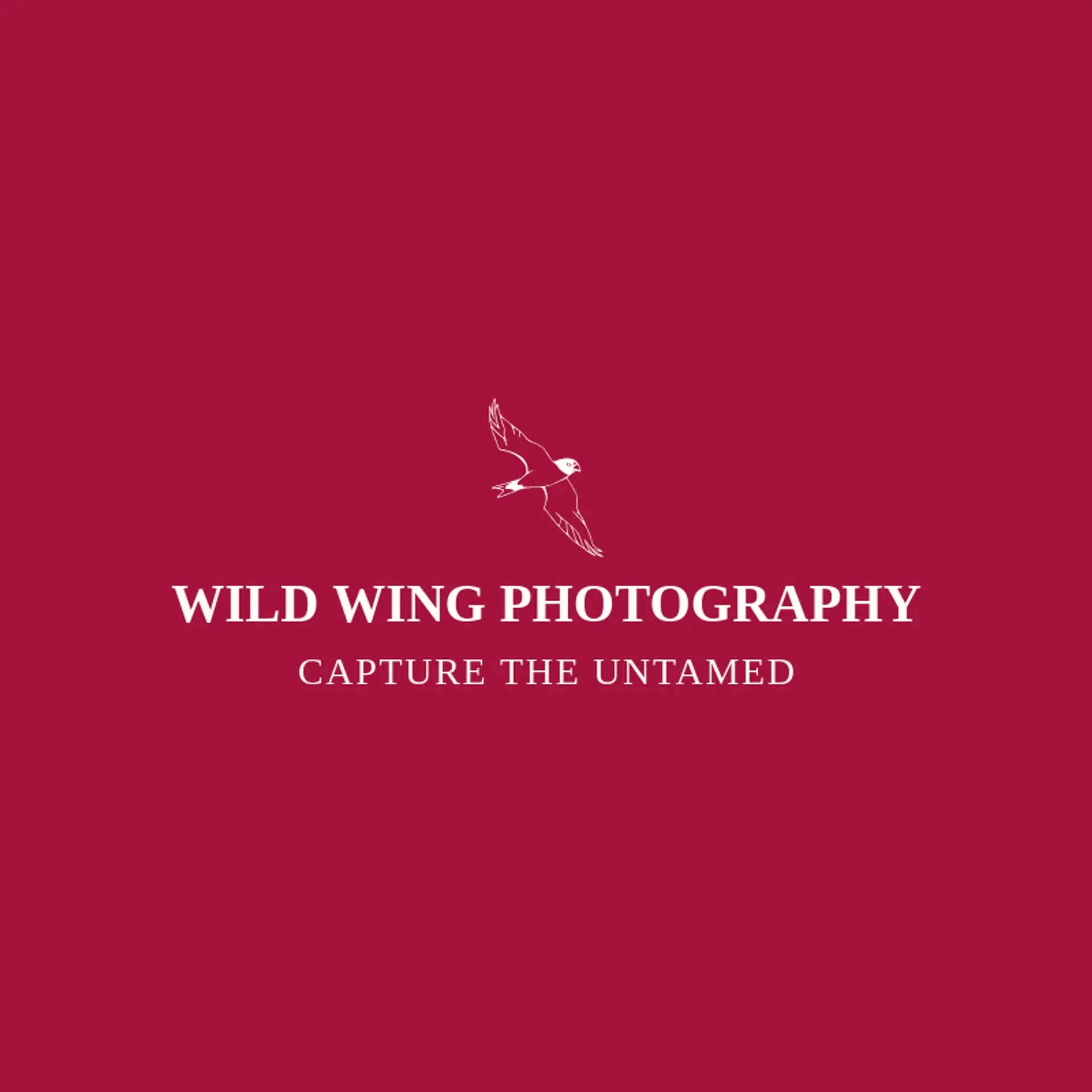 Wild Wing Photography logo for falcon