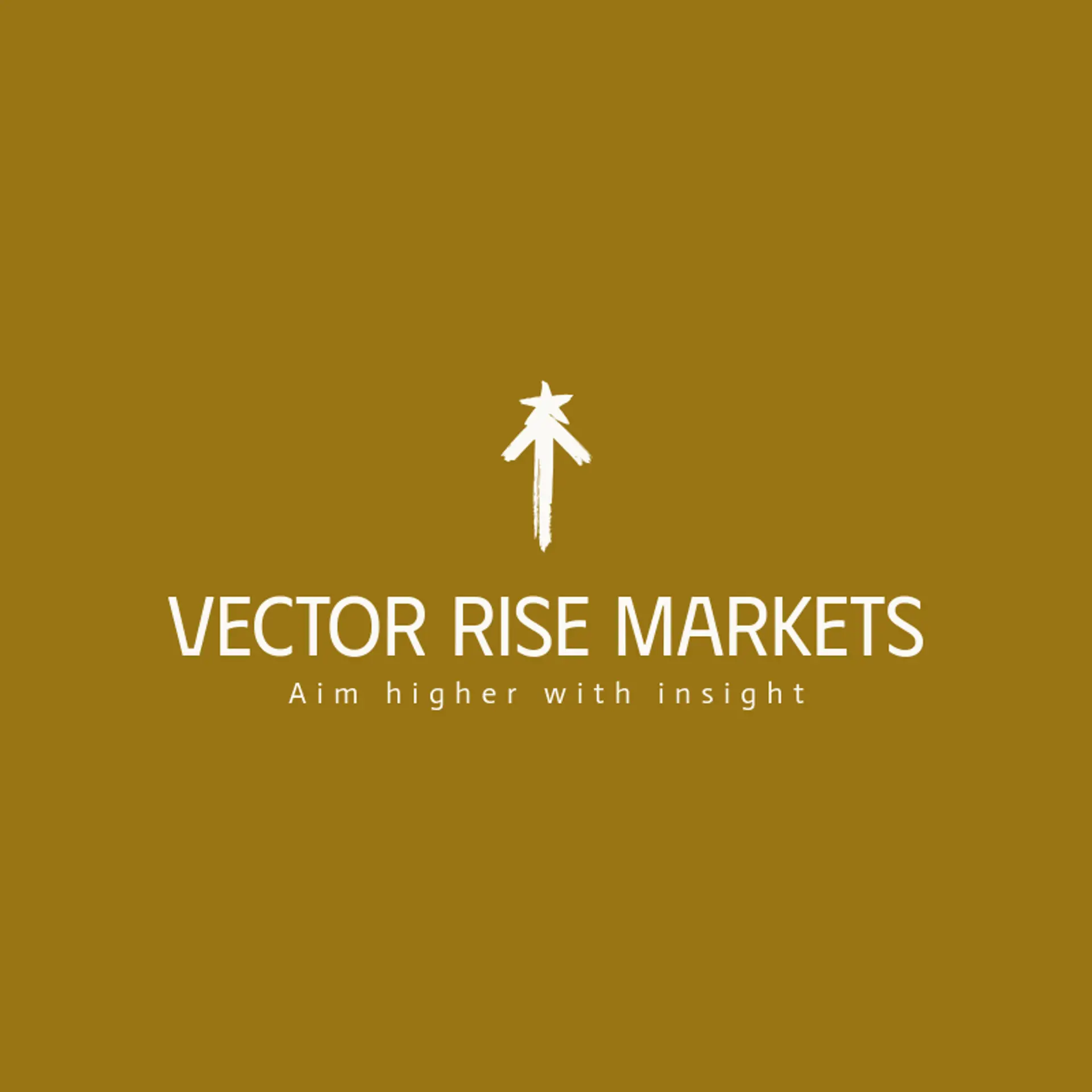 Vector Rise Markets logo for forex