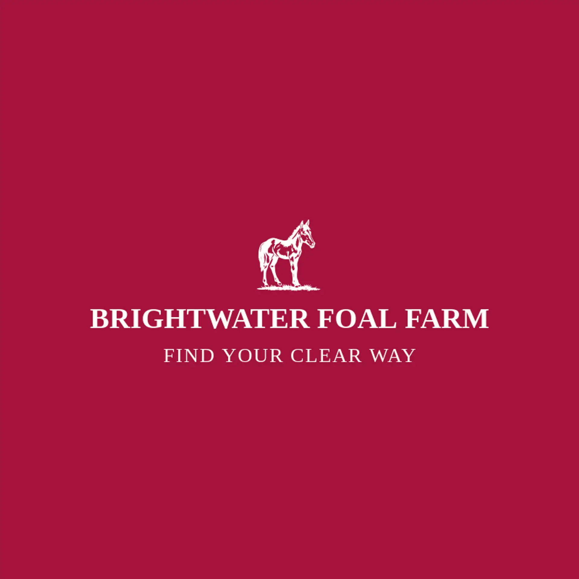 Brightwater Foal Farm logo for colt