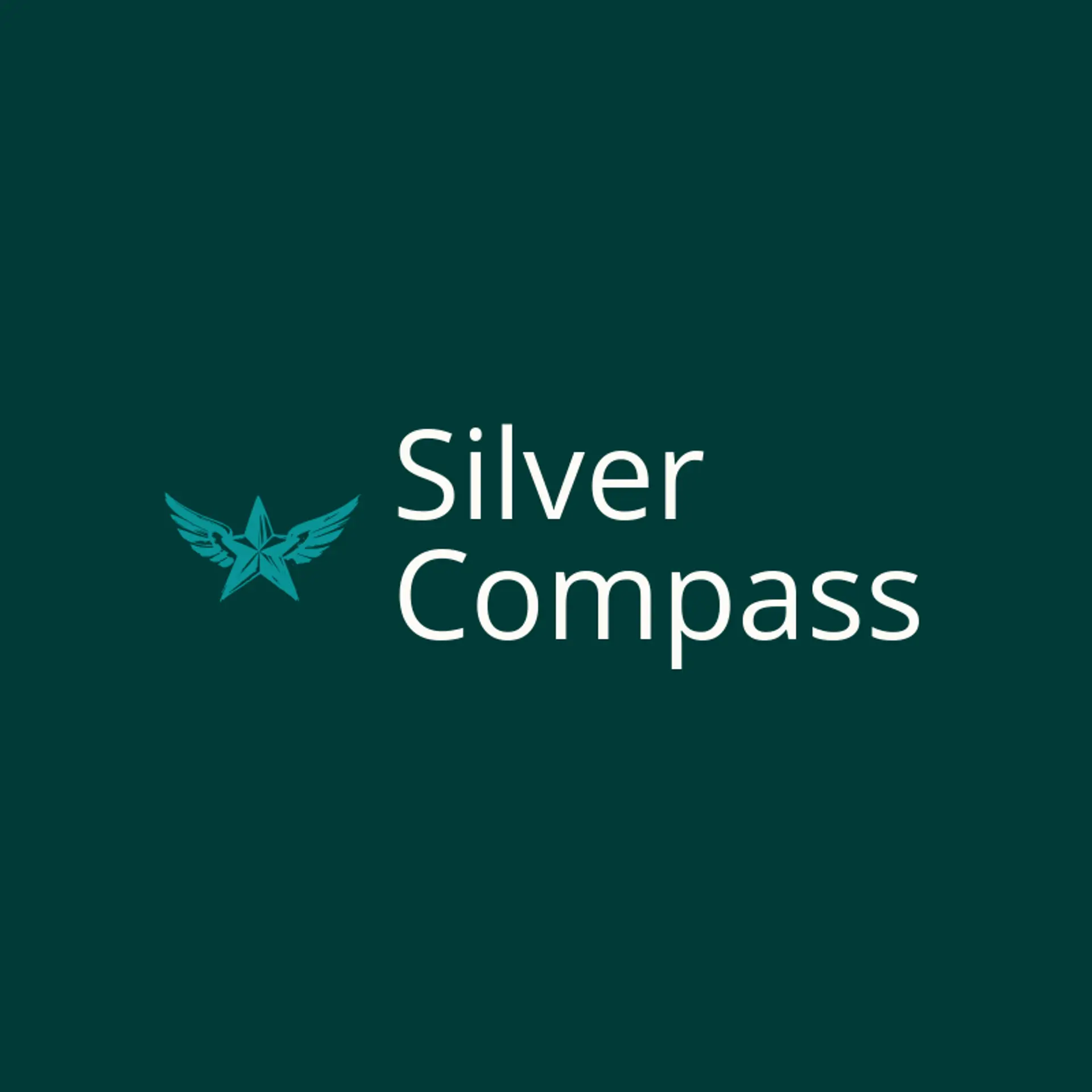 Silver Compass logo for air force