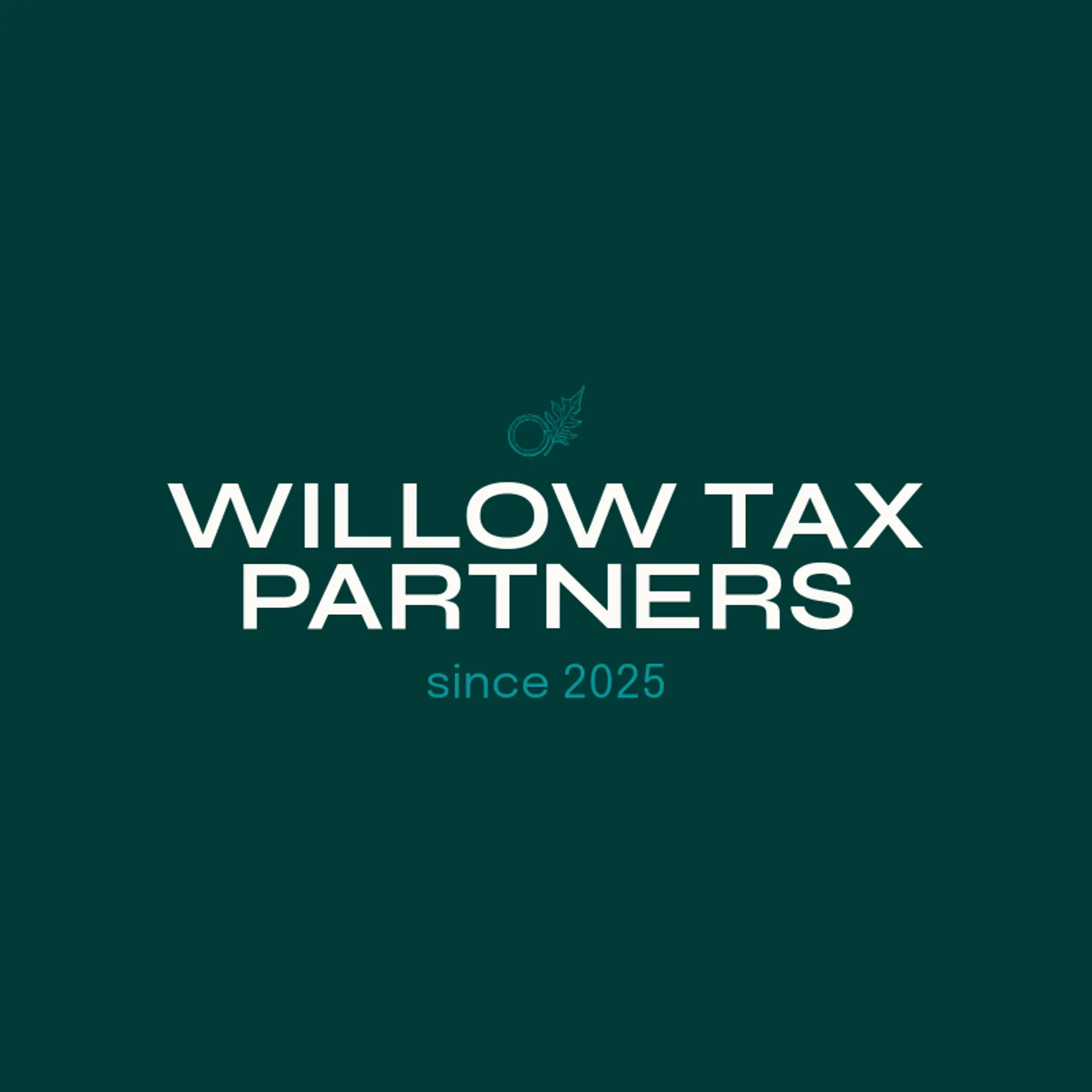 Willow Tax Partners logo for accounting