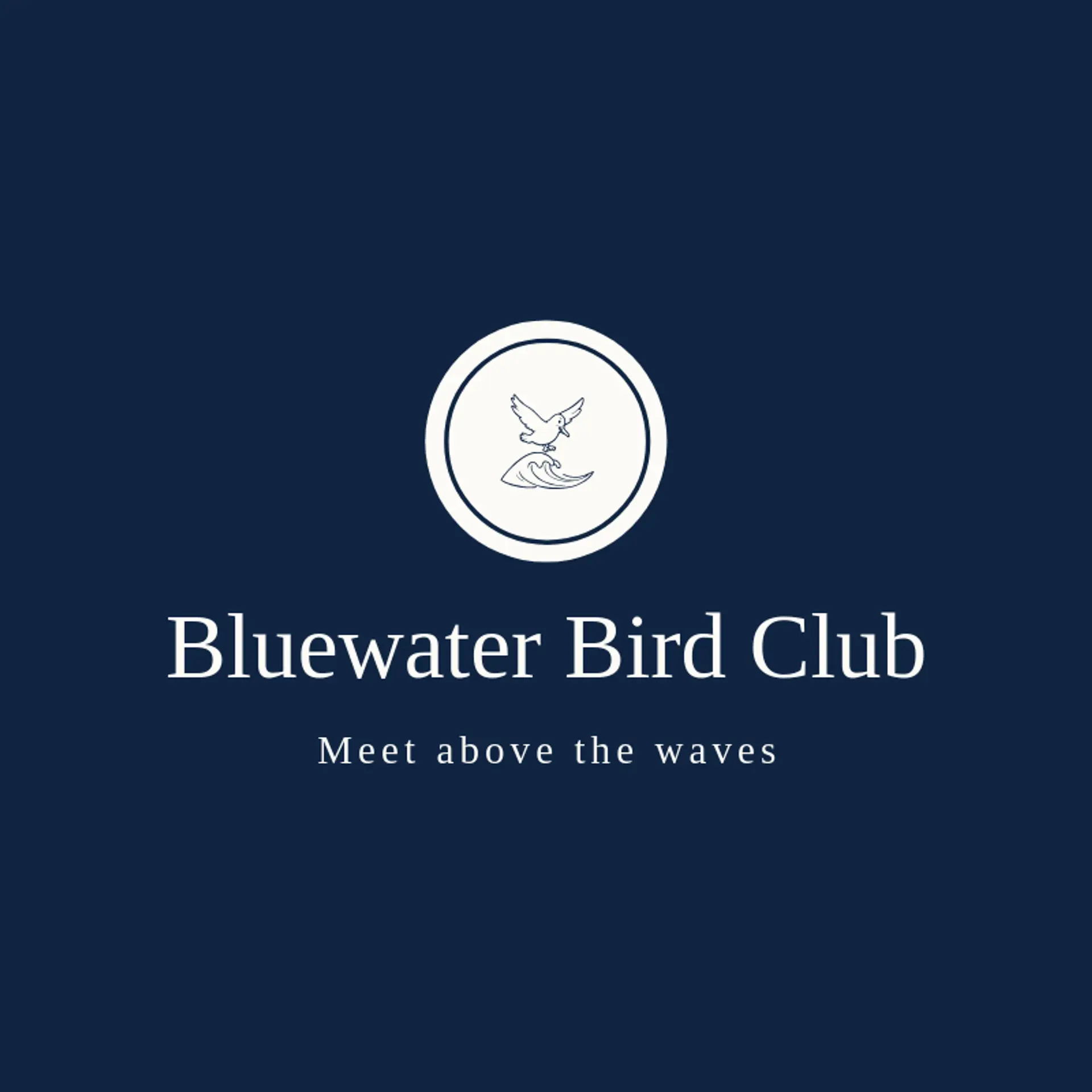 Bluewater Bird Club logo for seagull