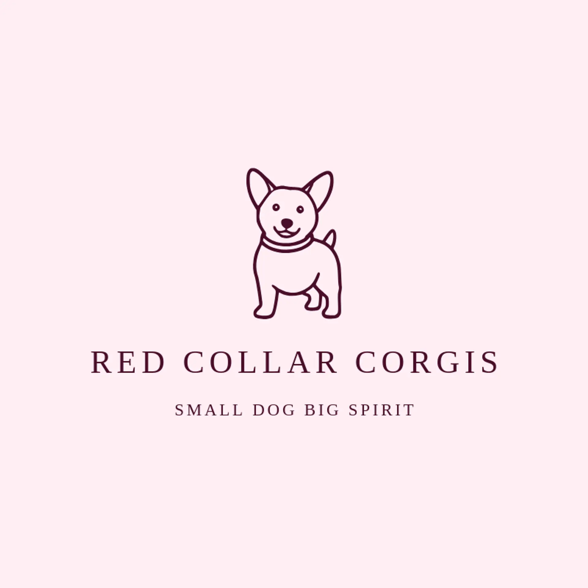 Red Collar Corgis logo for corgi