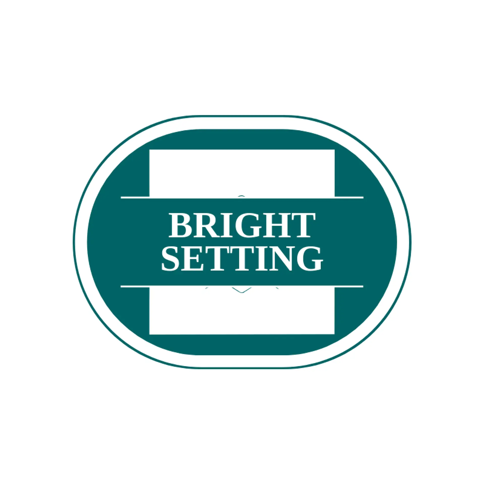 Bright Setting logo for switch