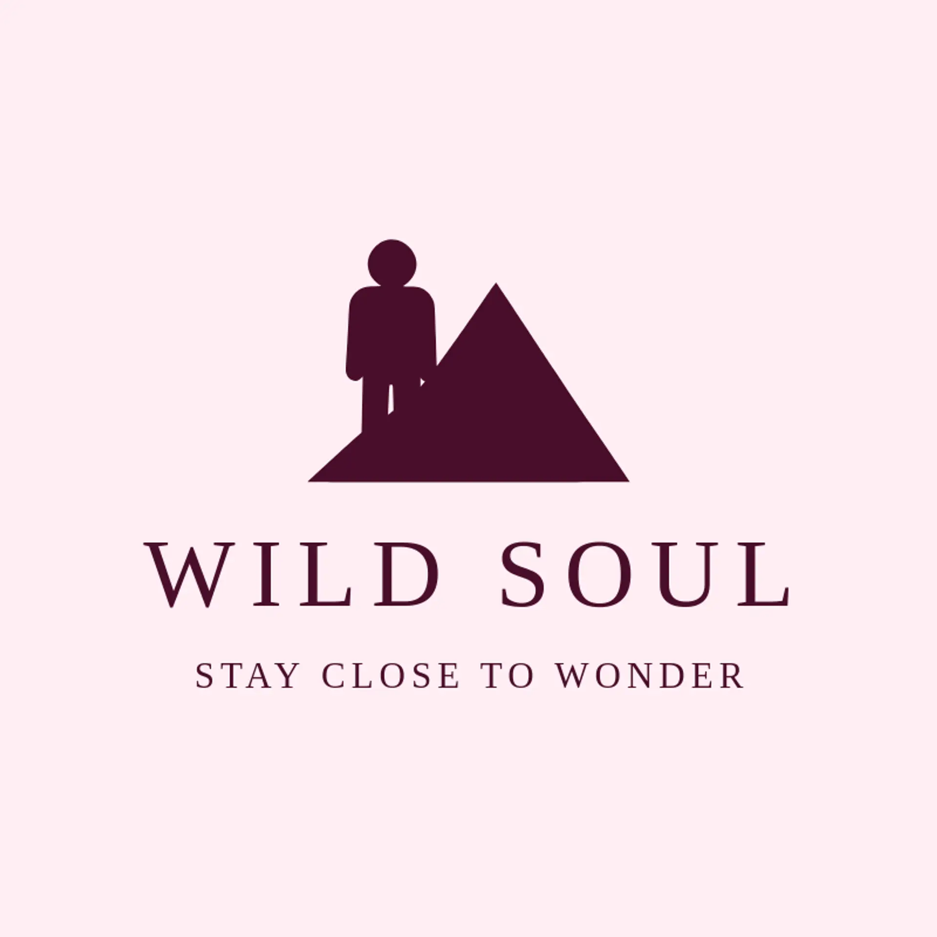 Wild Soul logo for soul