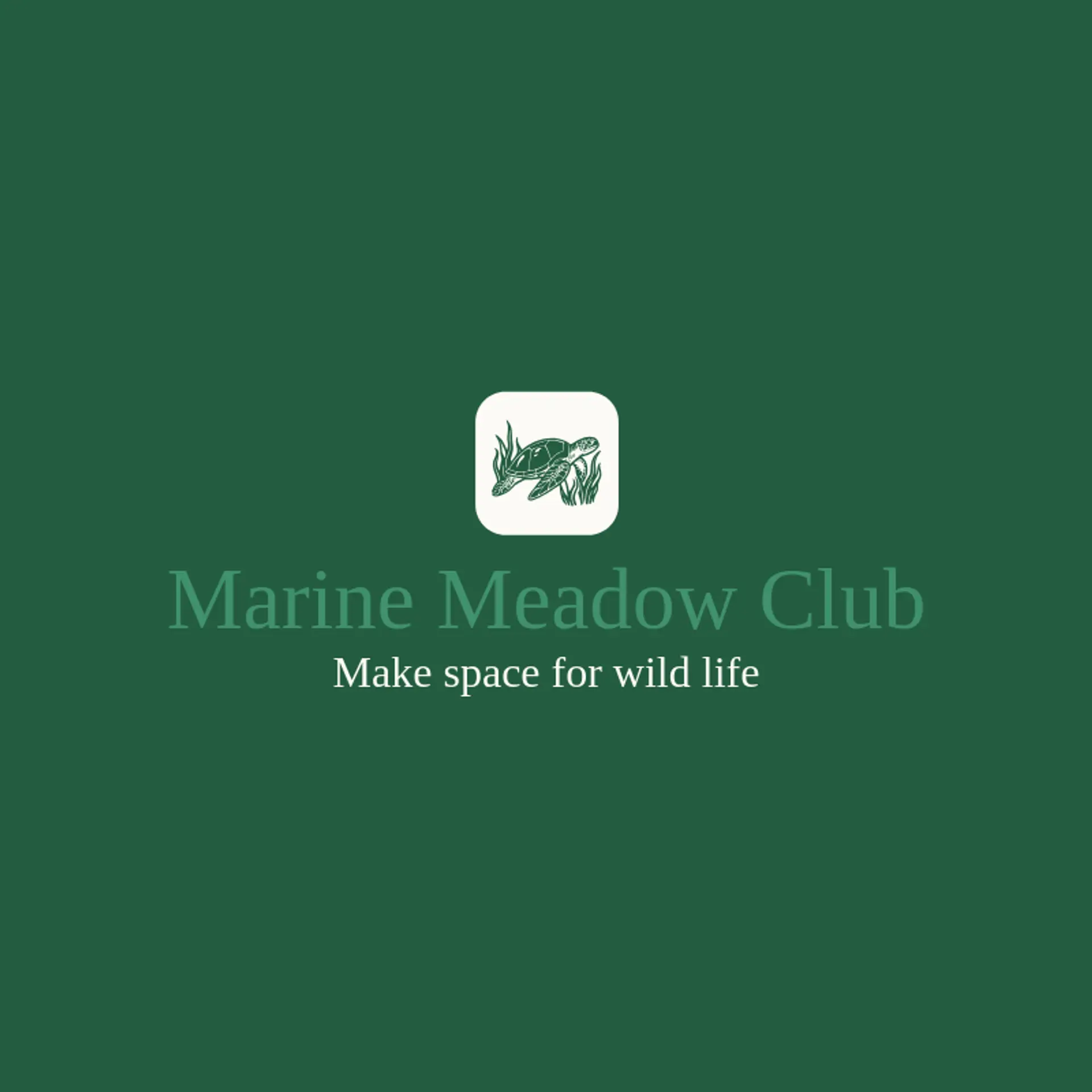 Marine Meadow Club logo for sea turtle