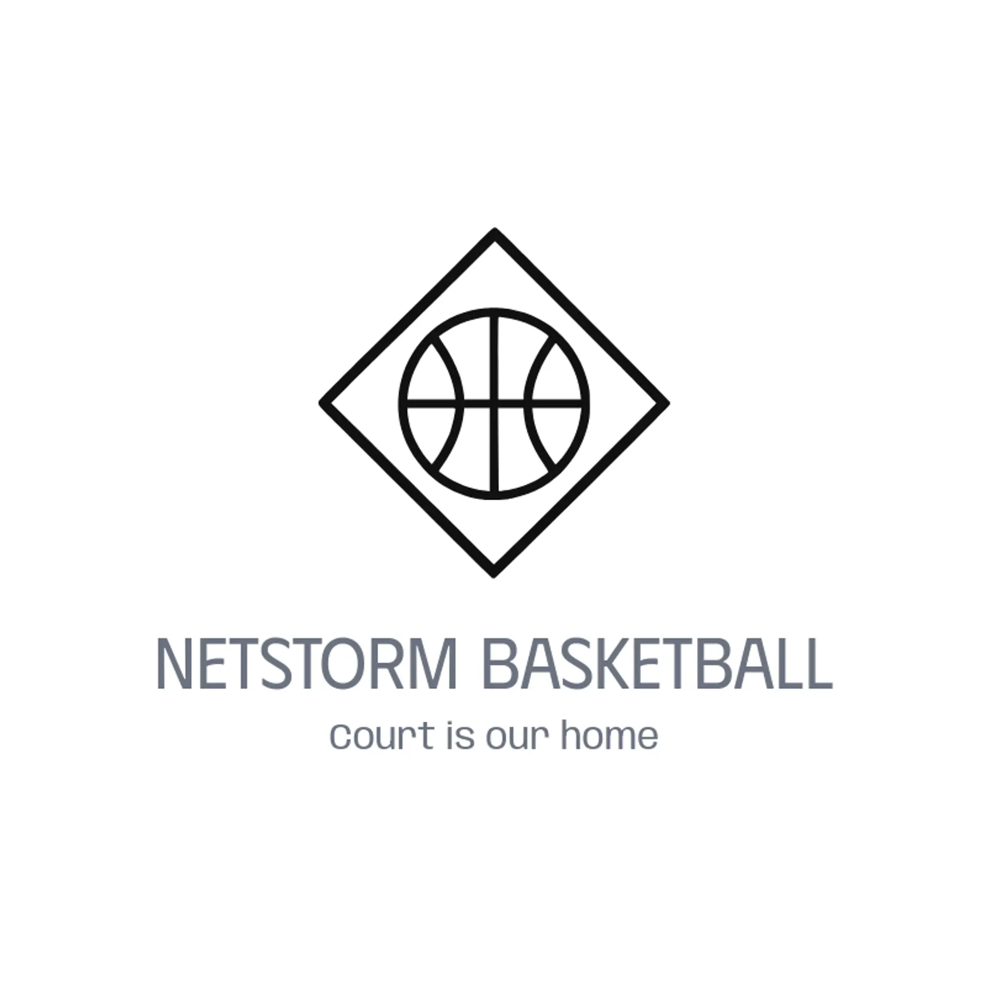 Netstorm Basketball logo for basketball