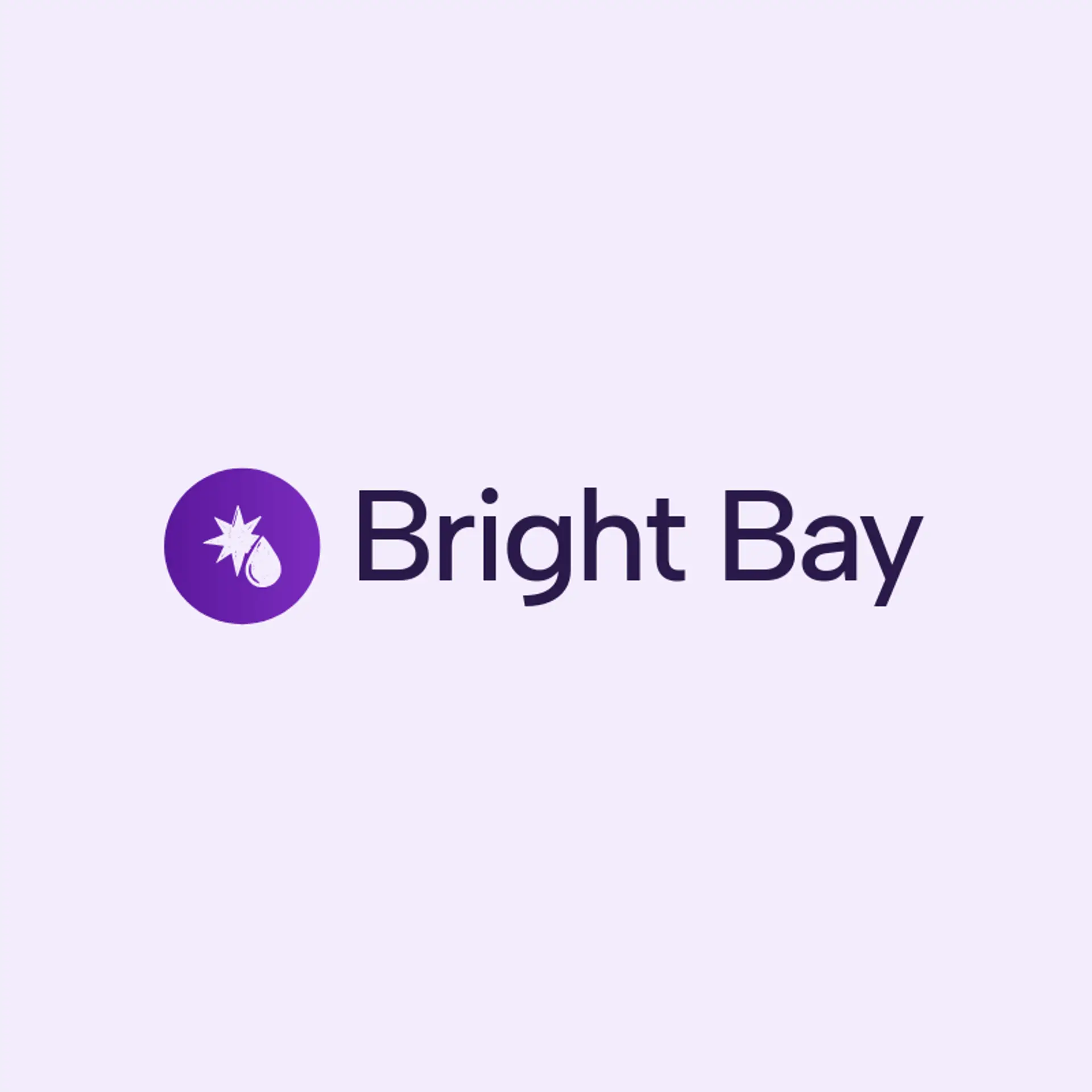 Bright Bay logo for detailing
