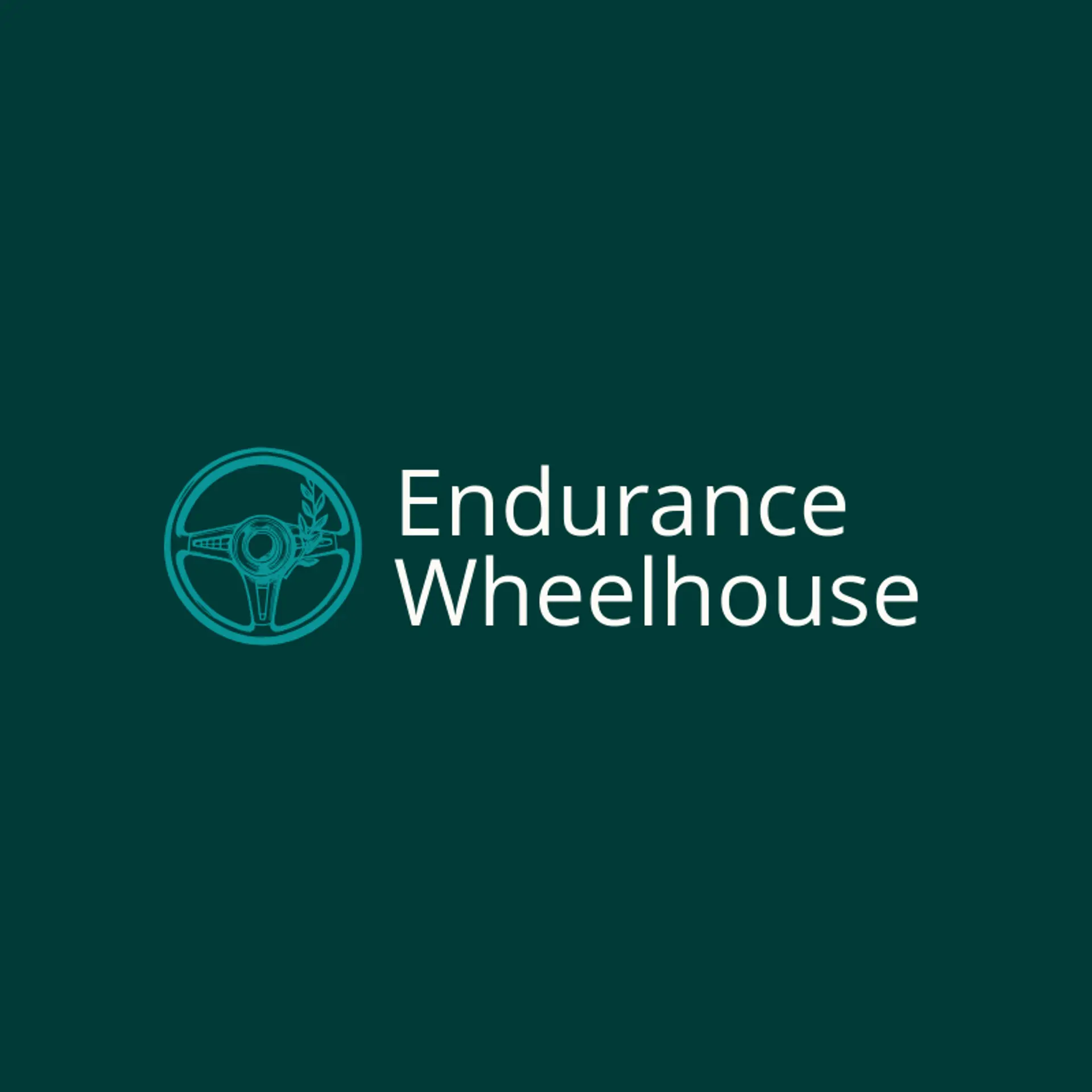 Endurance Wheelhouse logo for steering wheel