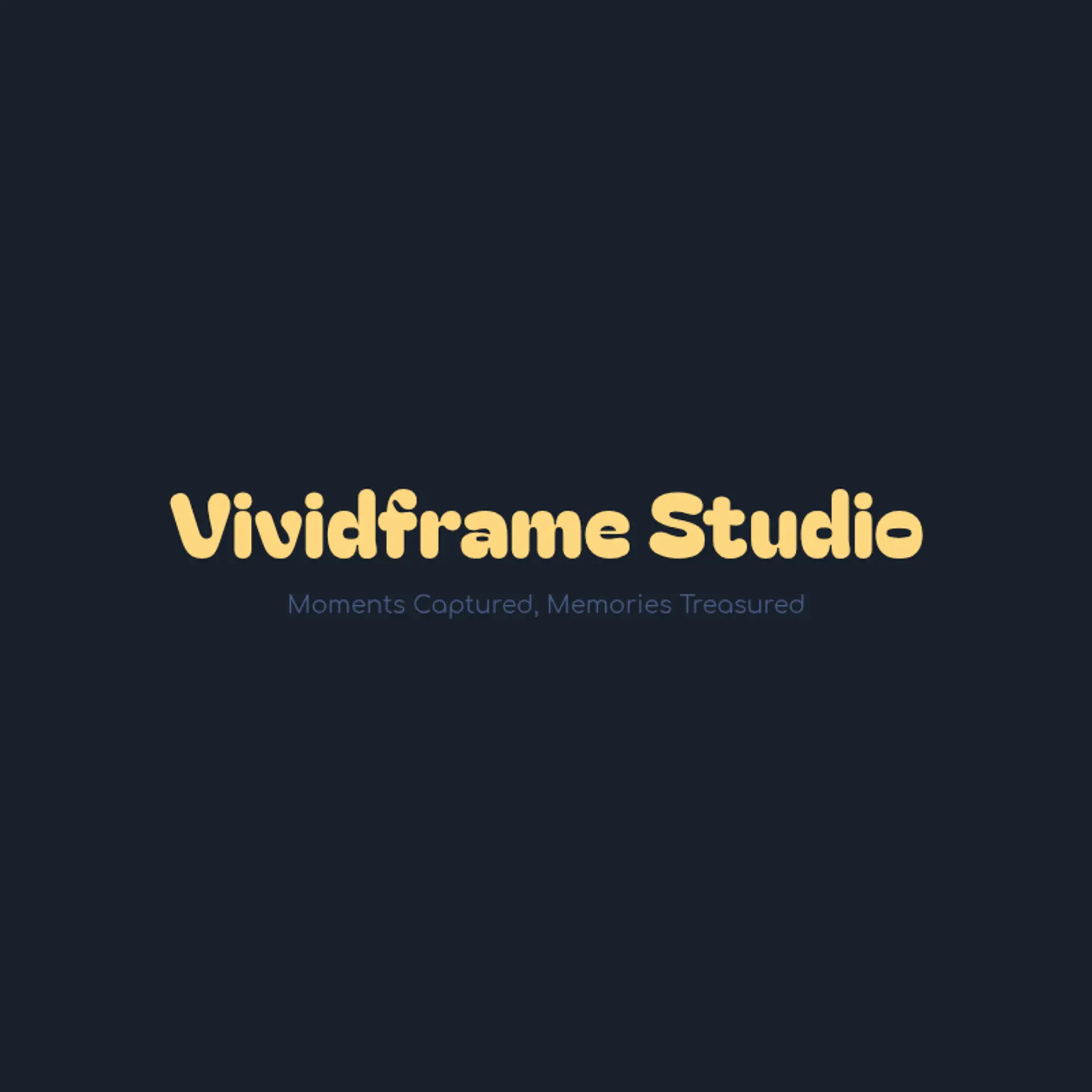 VividFrame Studio logo for photography business