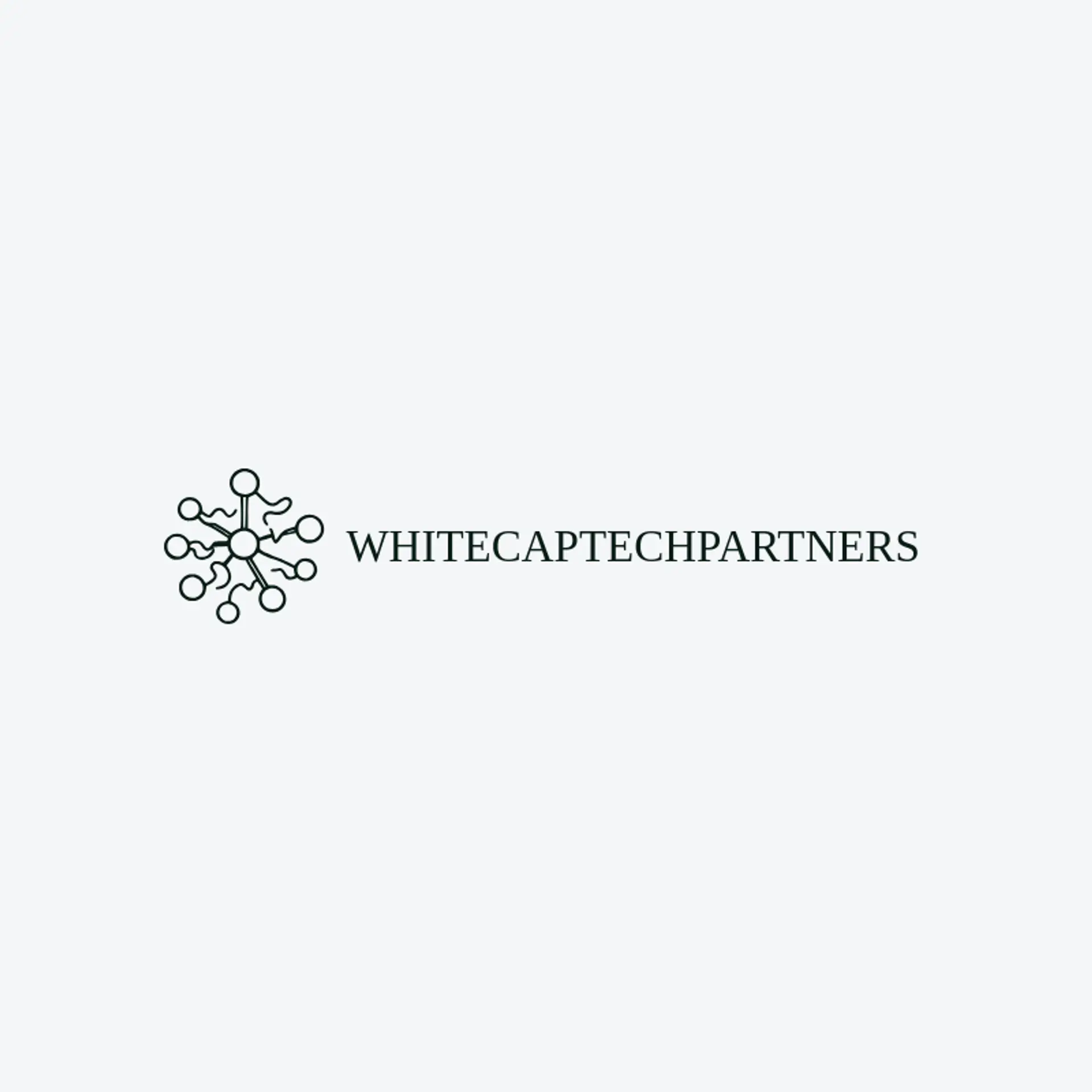 Whitecap Tech Partners logo for information technology