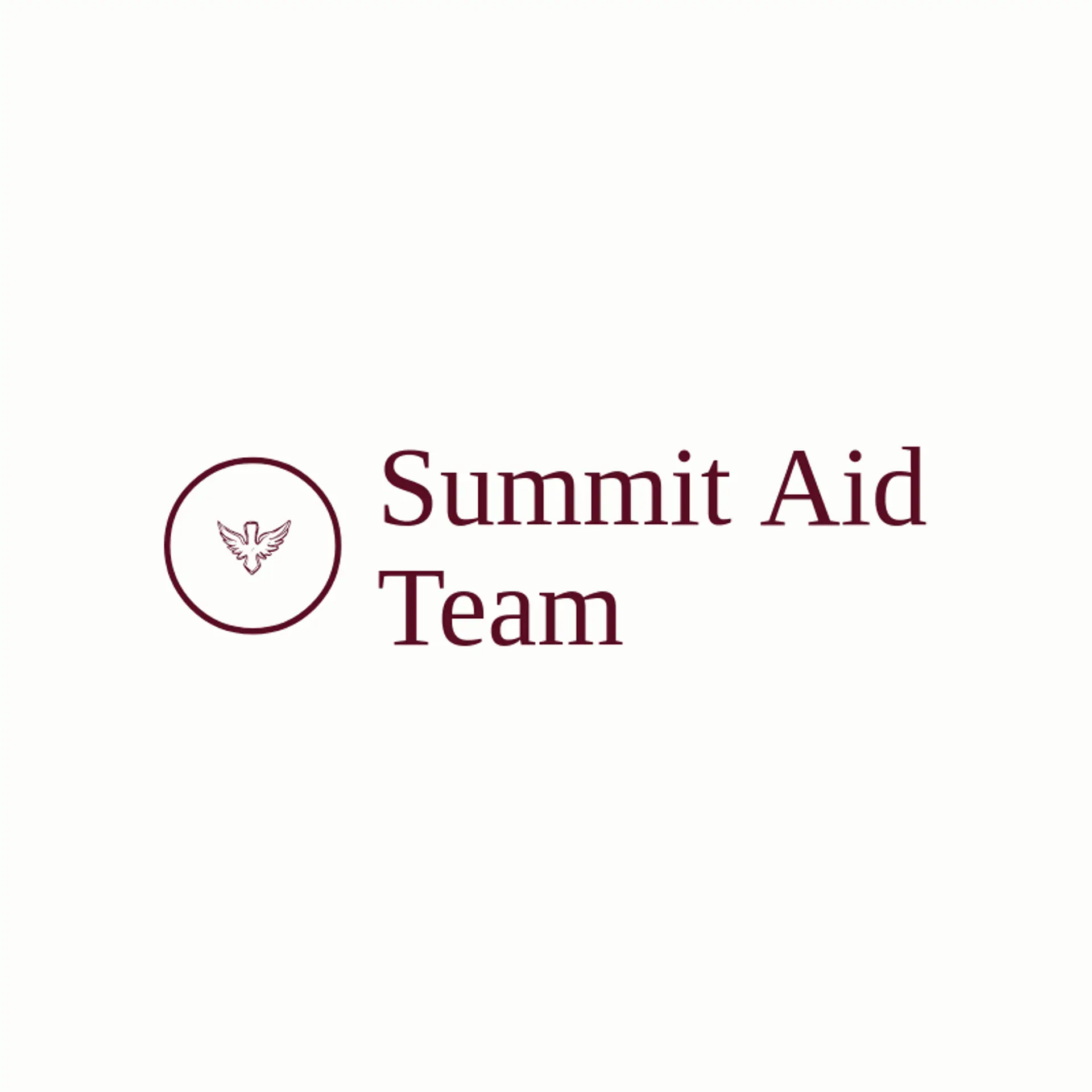 Summit Aid Team logo for paramedic